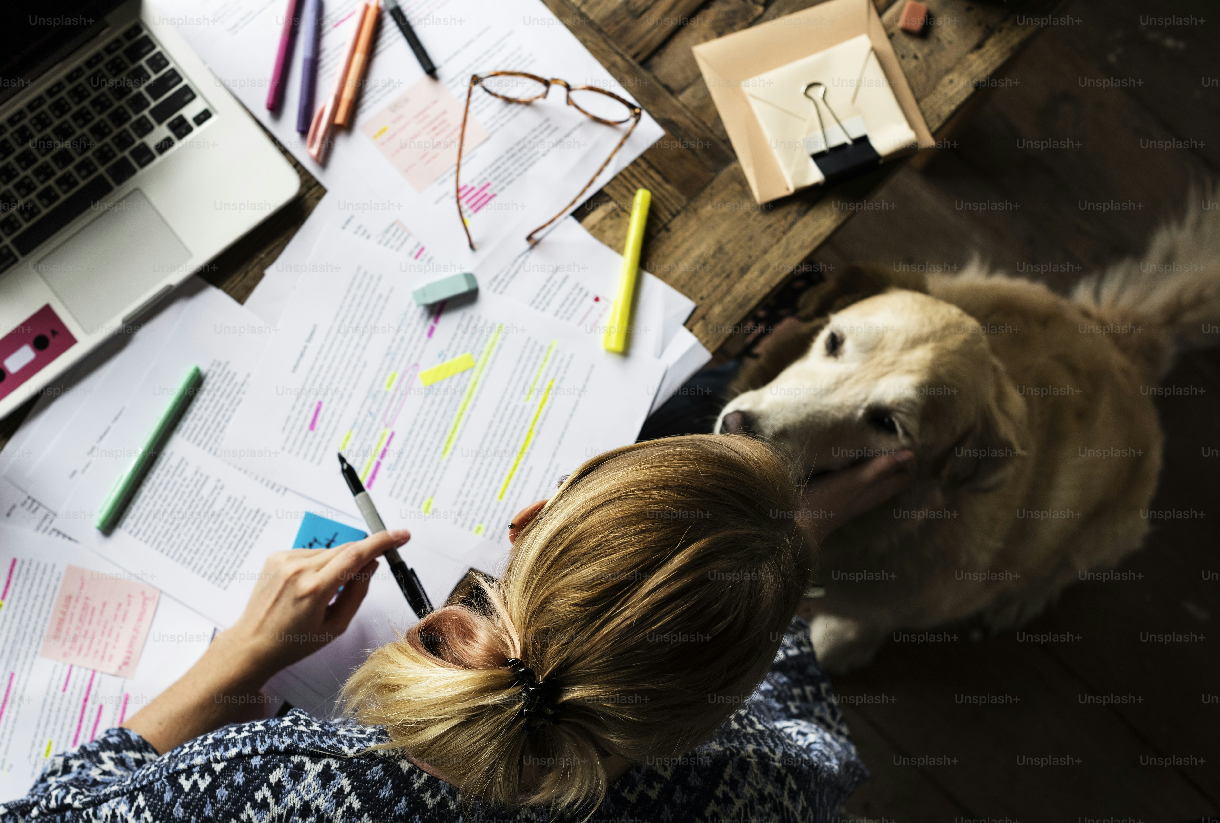 Pet owner maintaining medical history and healthcare tracking records