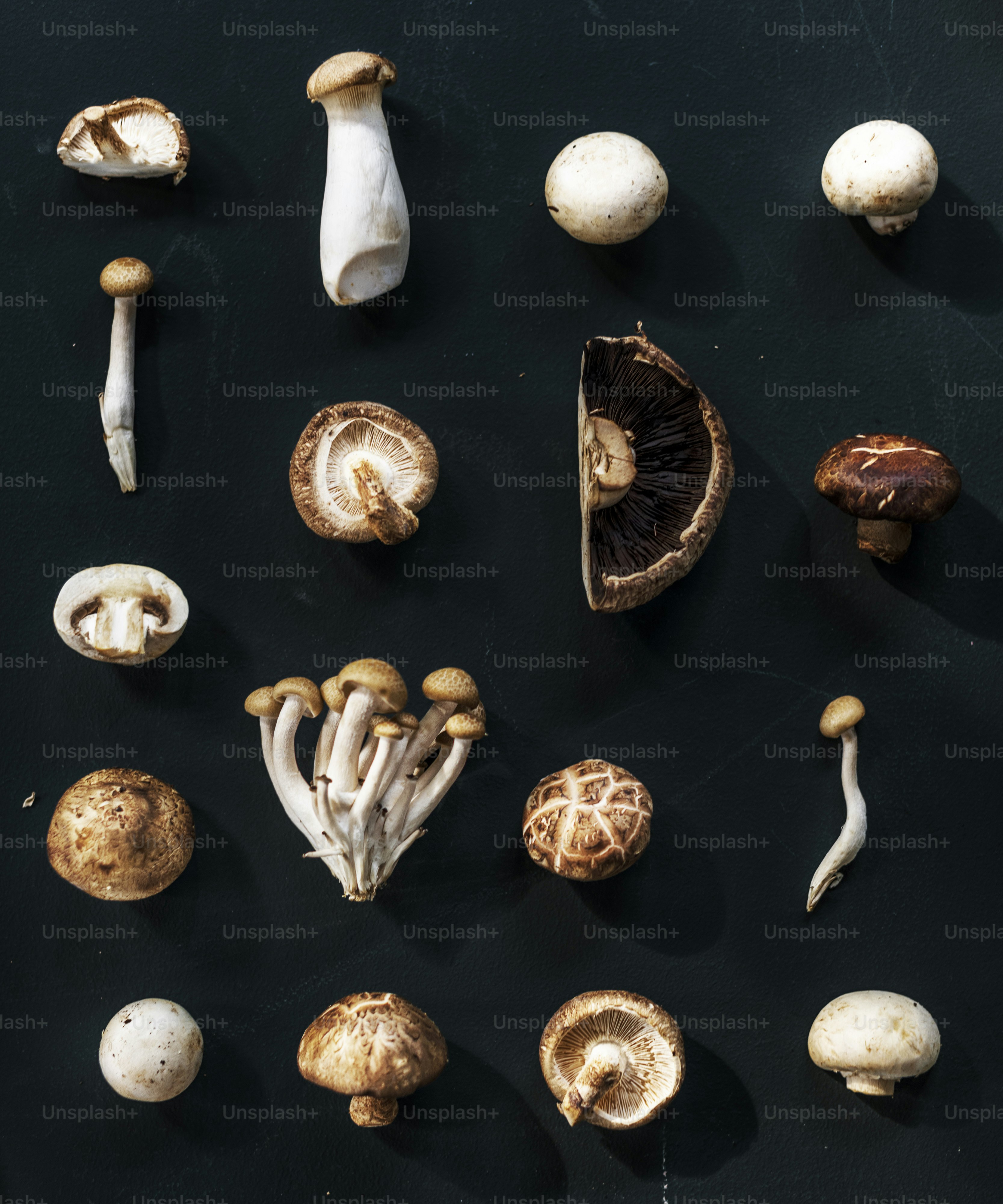 Vue aérienne de diverses collections de champignons sur fond noir