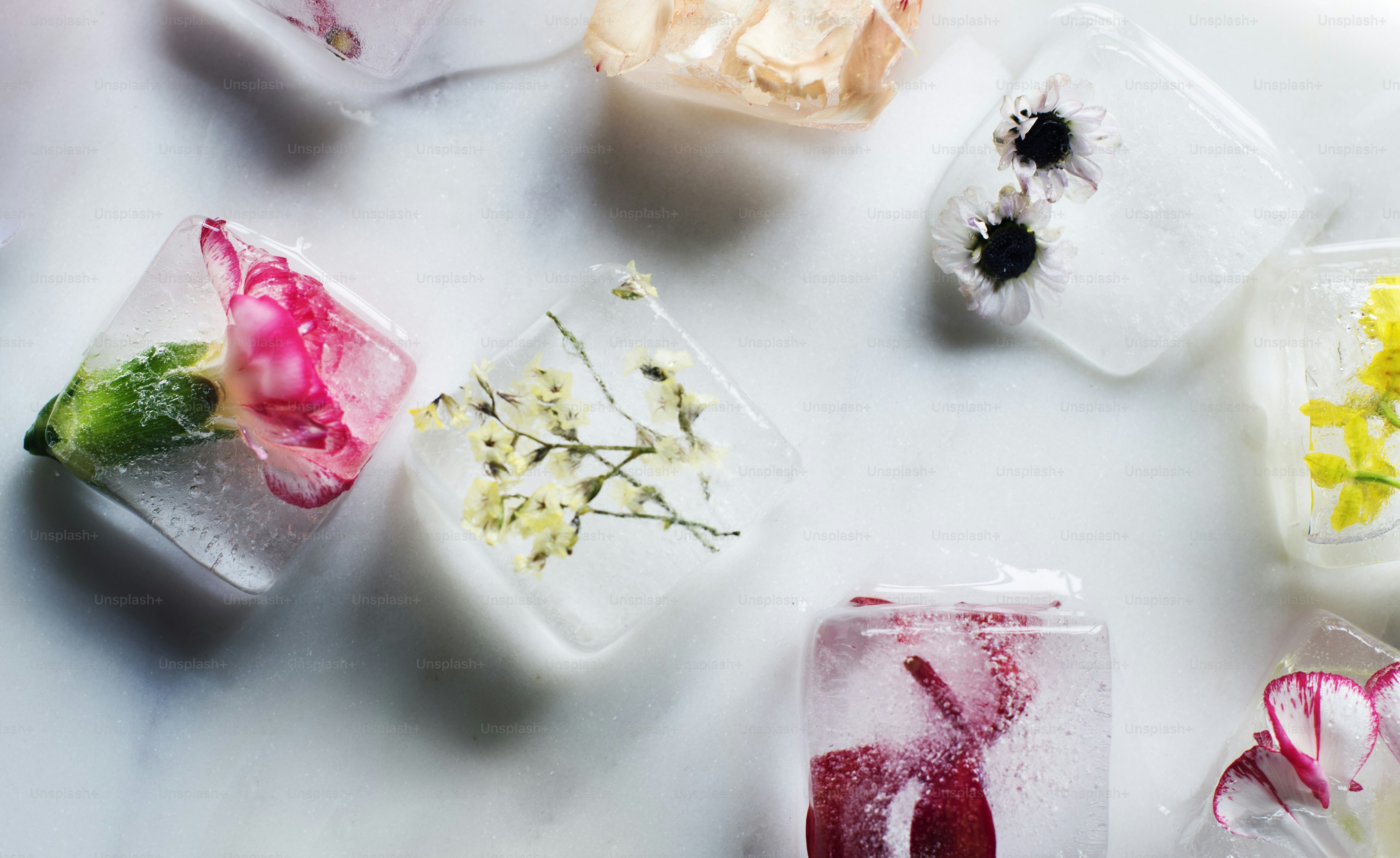 Flower ice cube isolated on marble