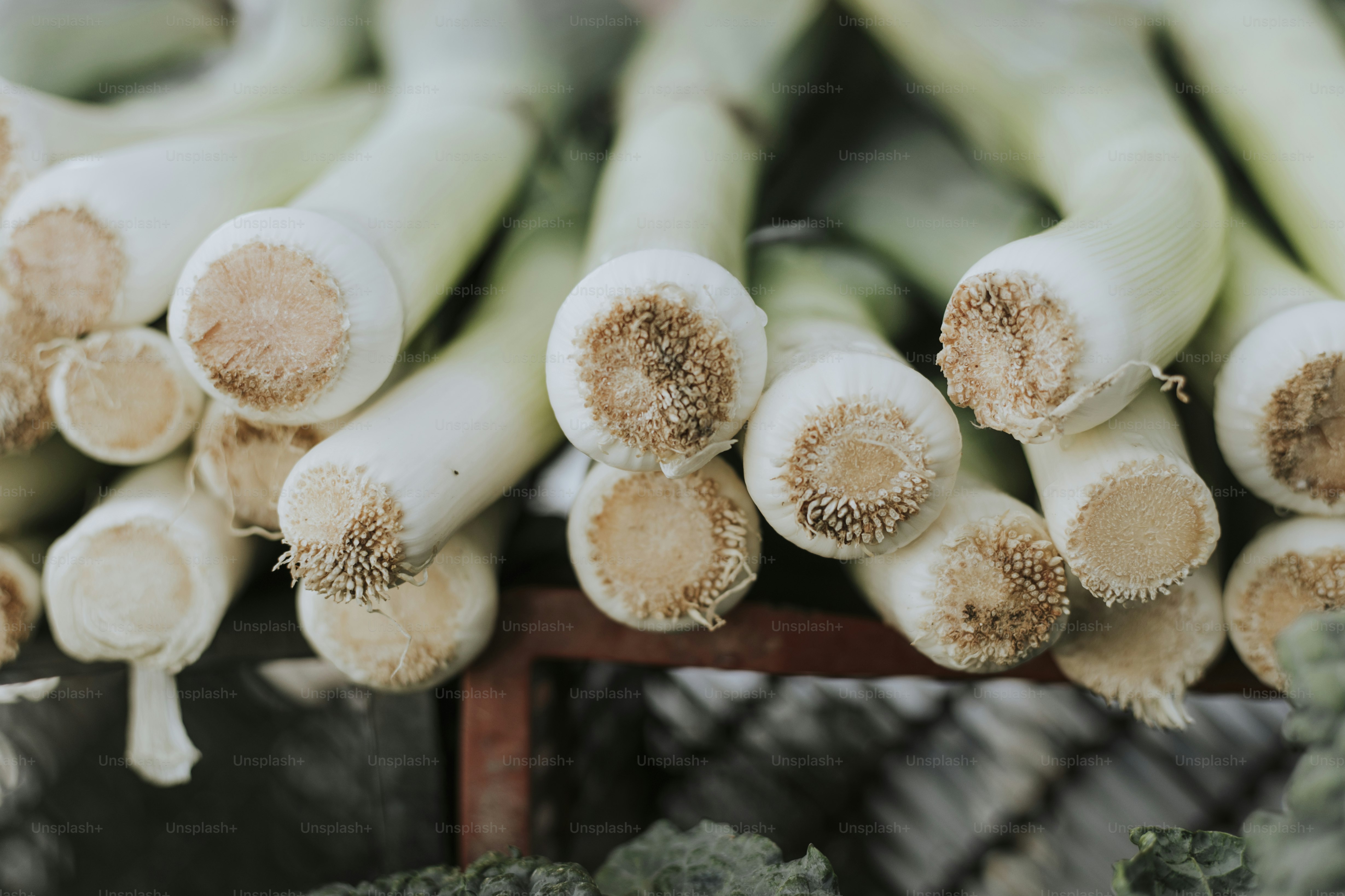 Puerro fresco en un mercado de agricultores
