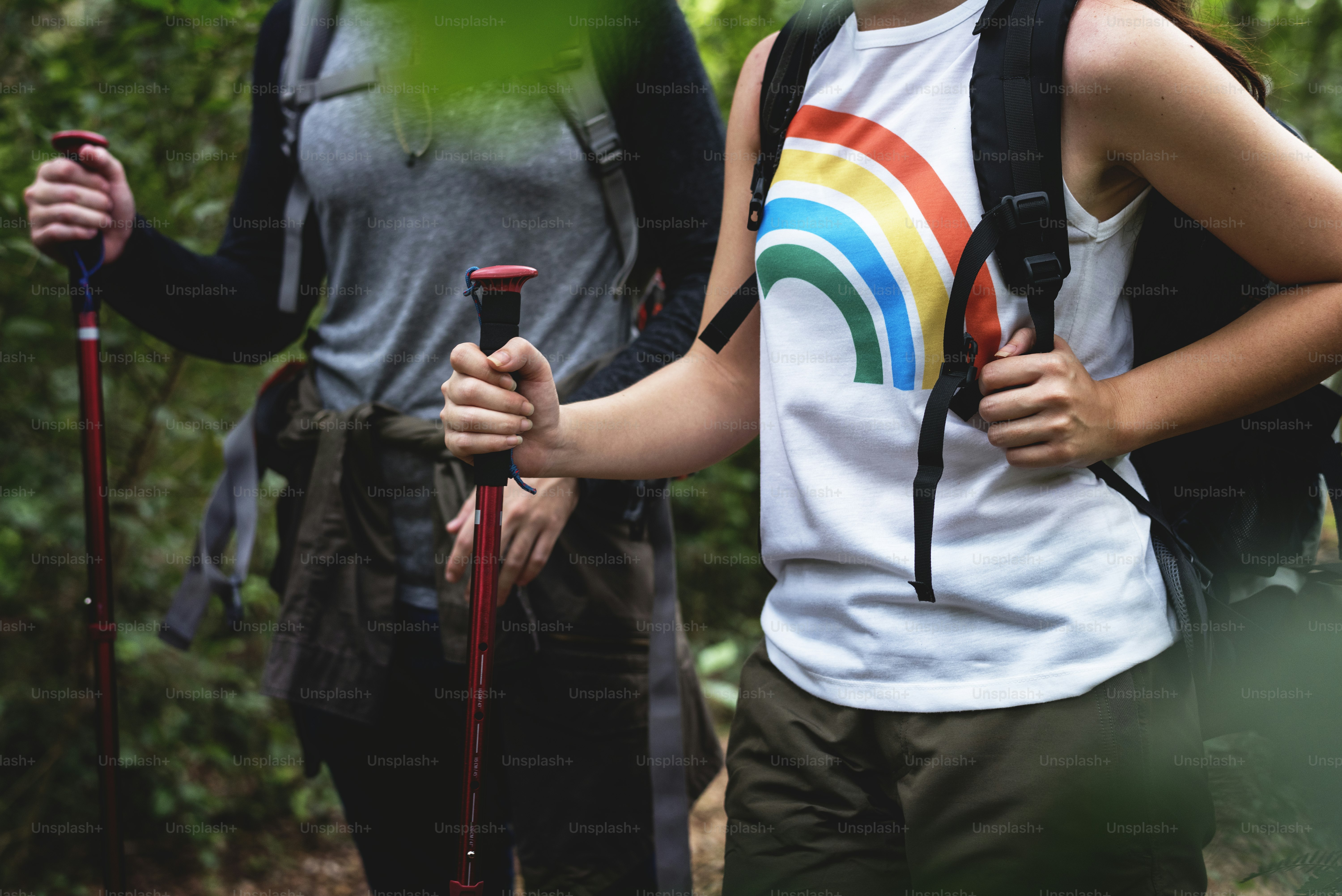 Trekking in a forest photo – Rainforest Image on Unsplash