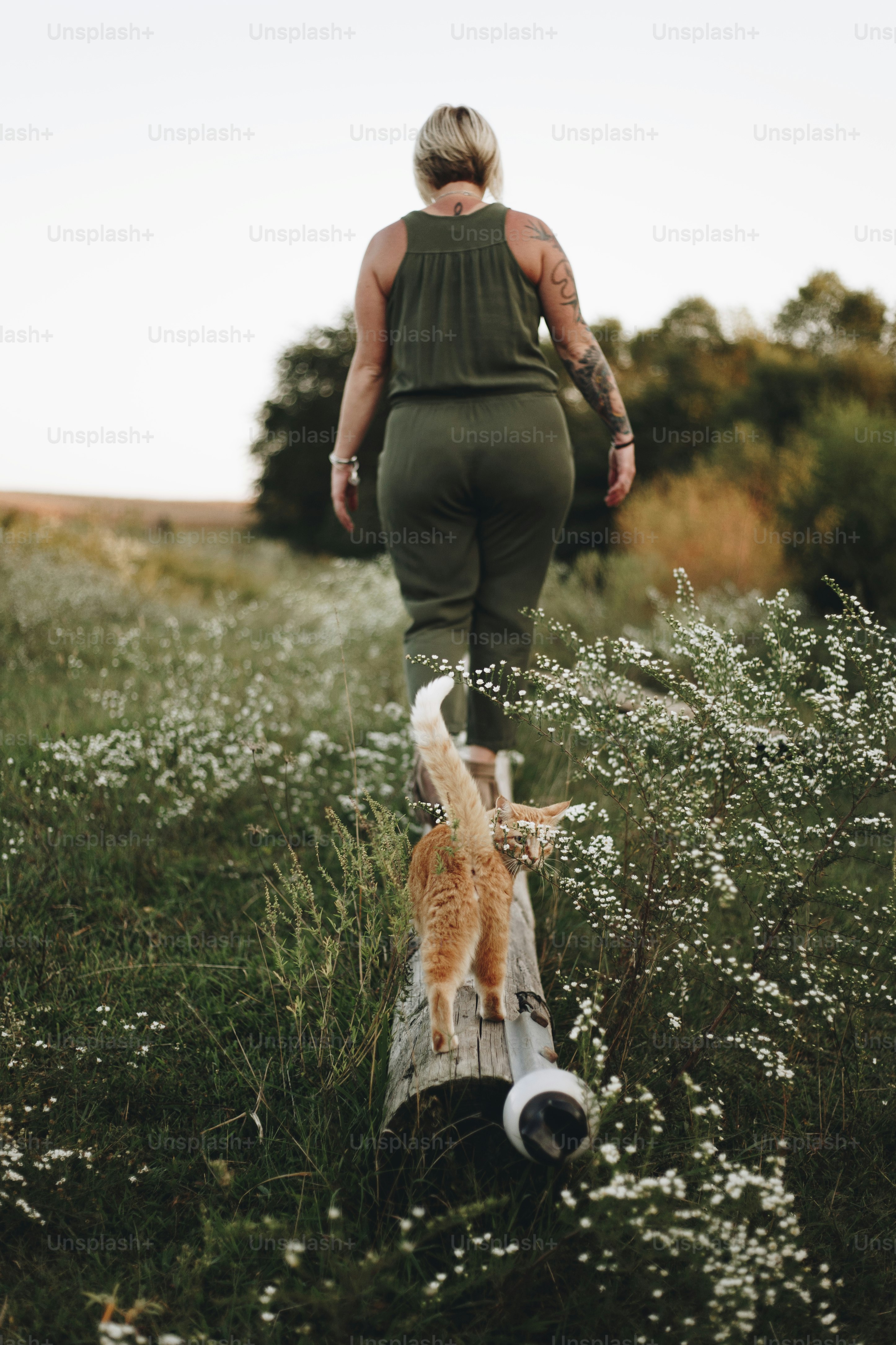 A cat following it's owner in a farm