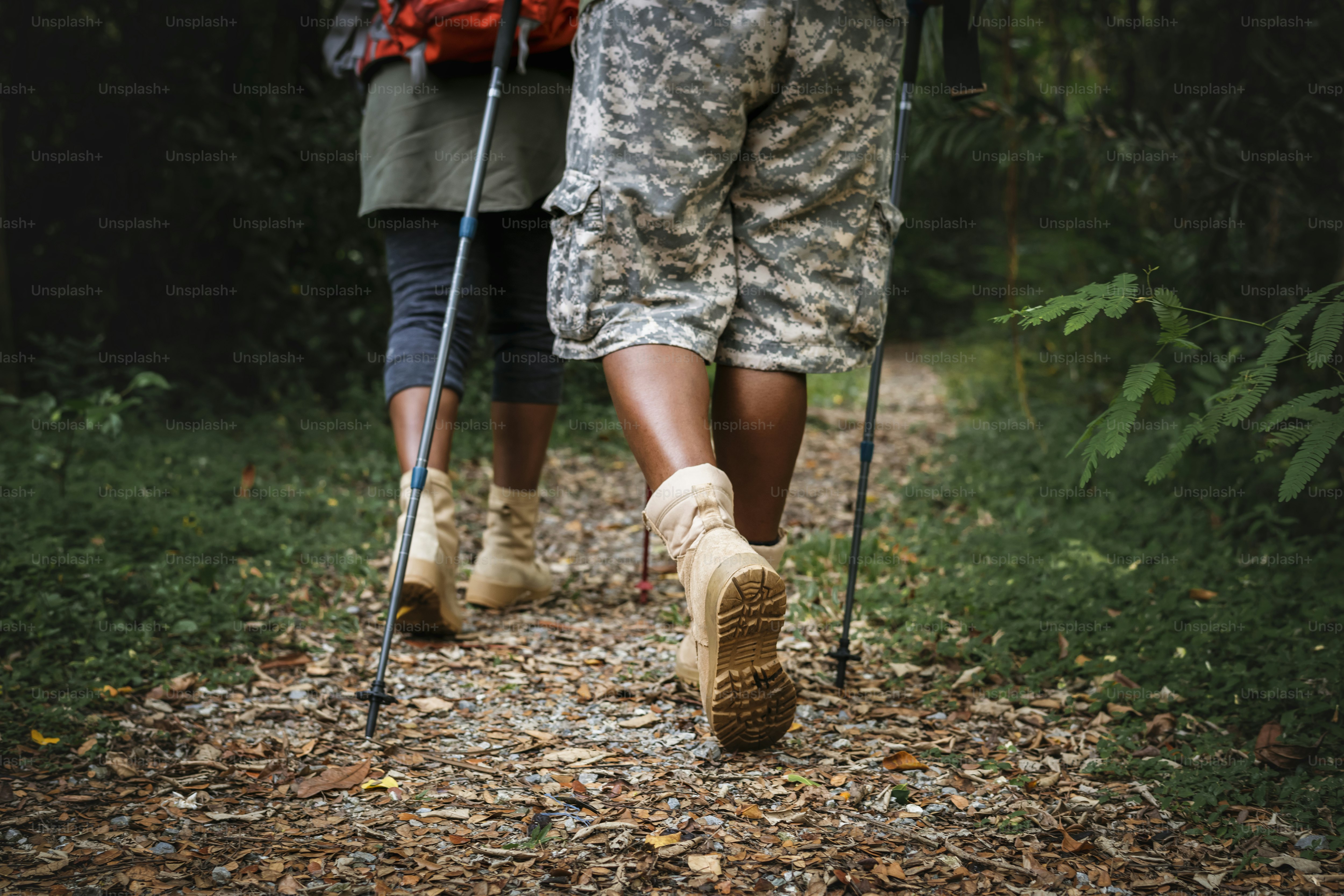 People trekking in the forest photo – Forest Image on Unsplash