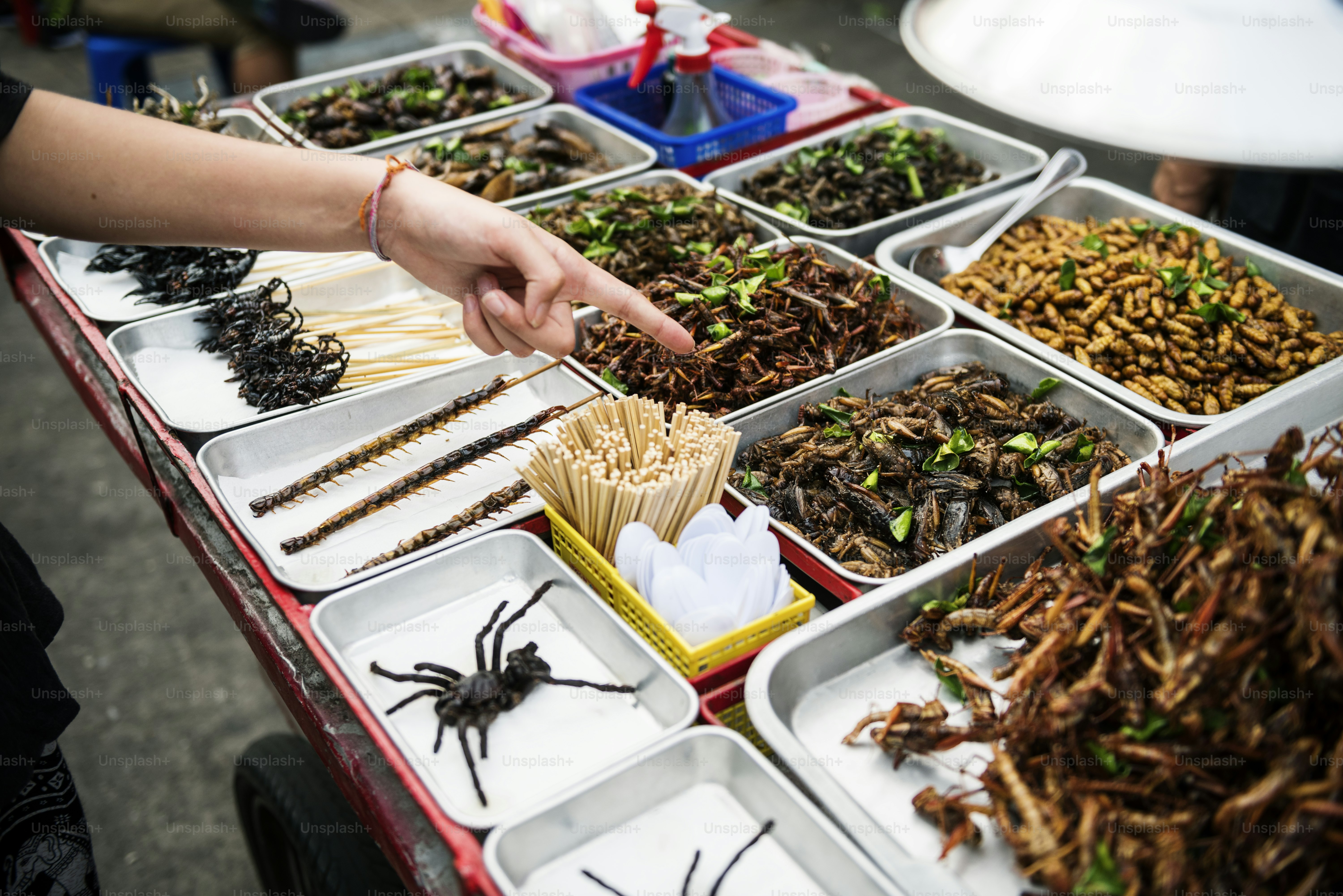 Nahaufnahme der Handbestellung von gekochten Insekten an einem thailändischen Streetfood-Stand