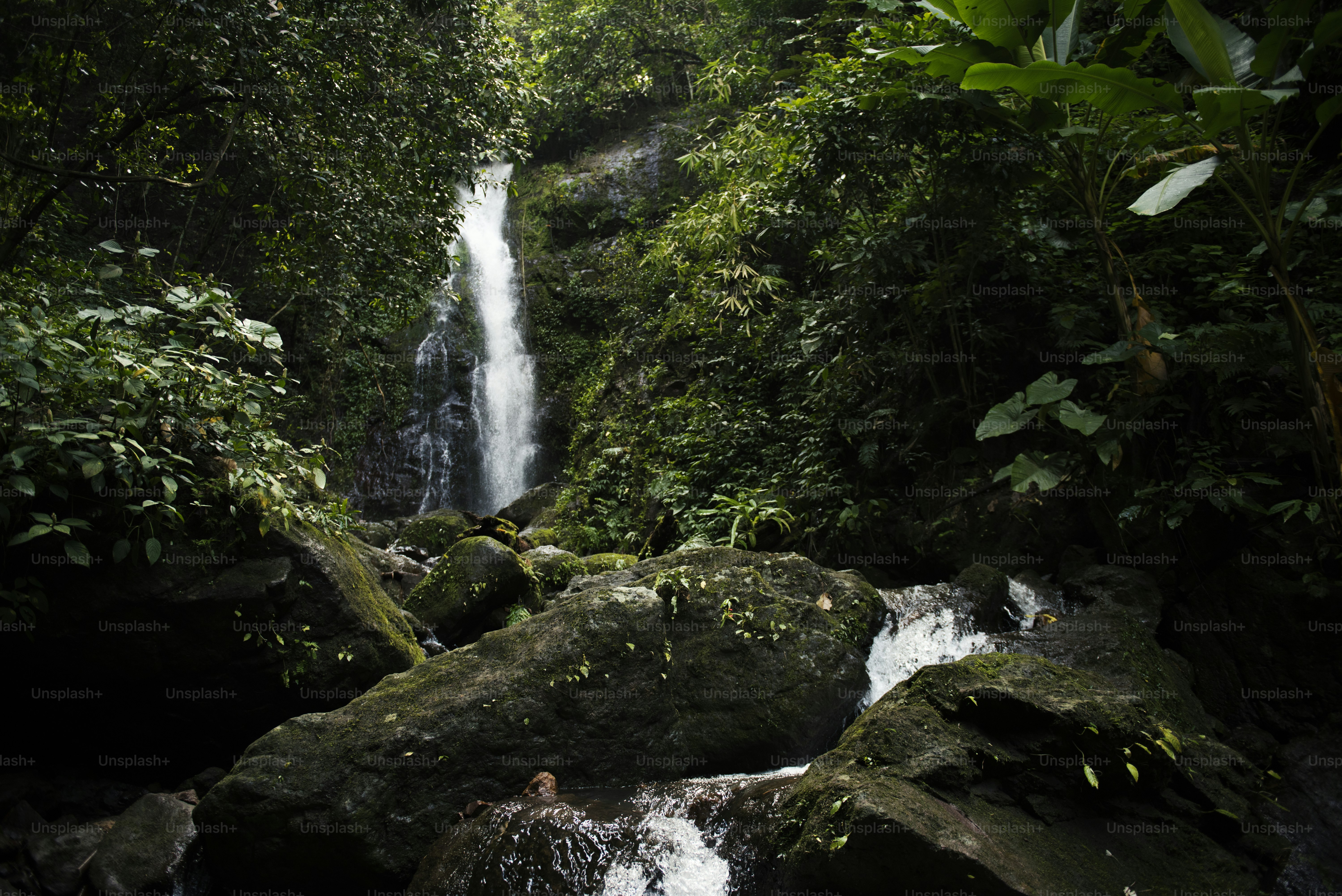 Beautiful view of a waterfall