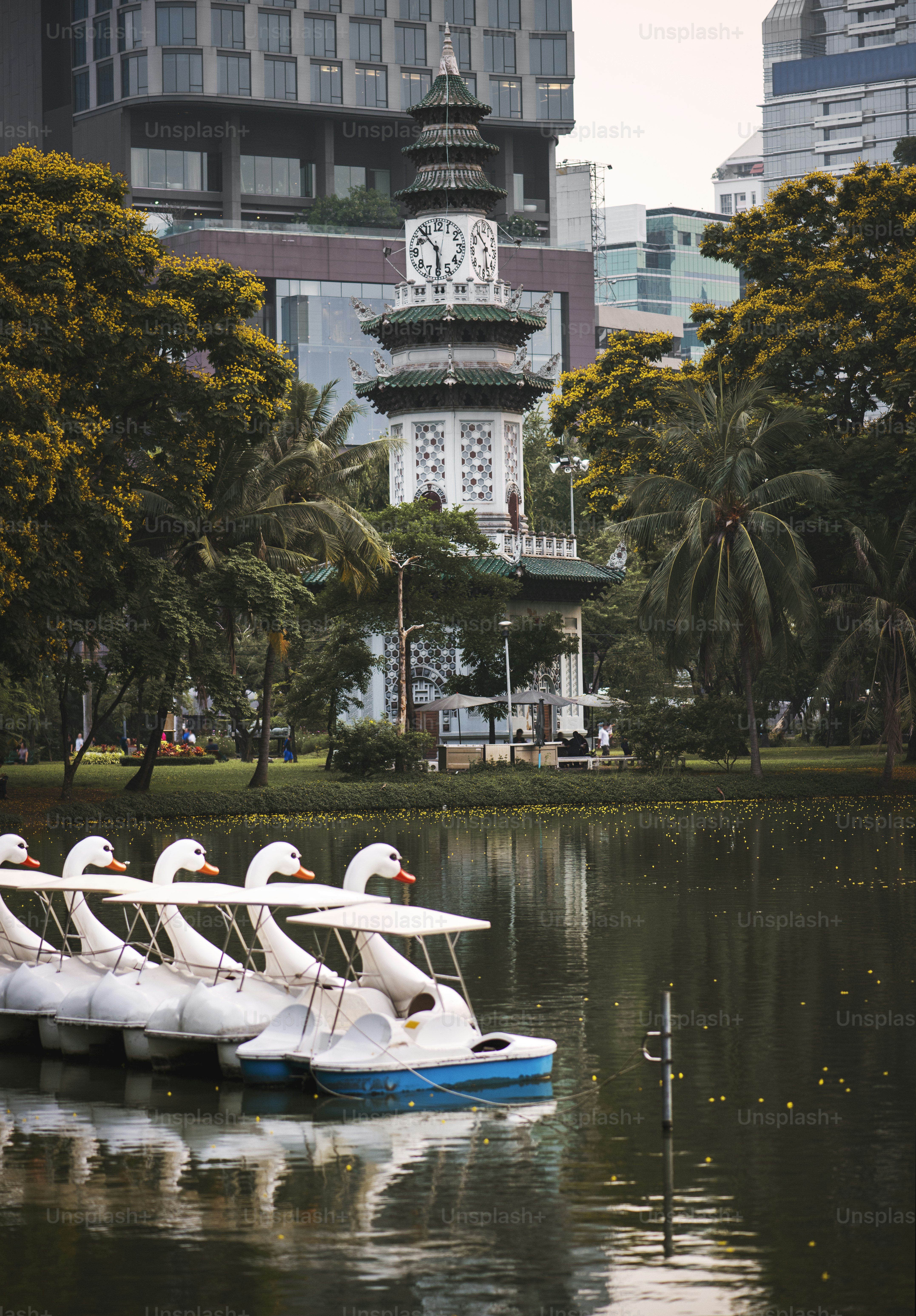 "Medical University In Bangkok"