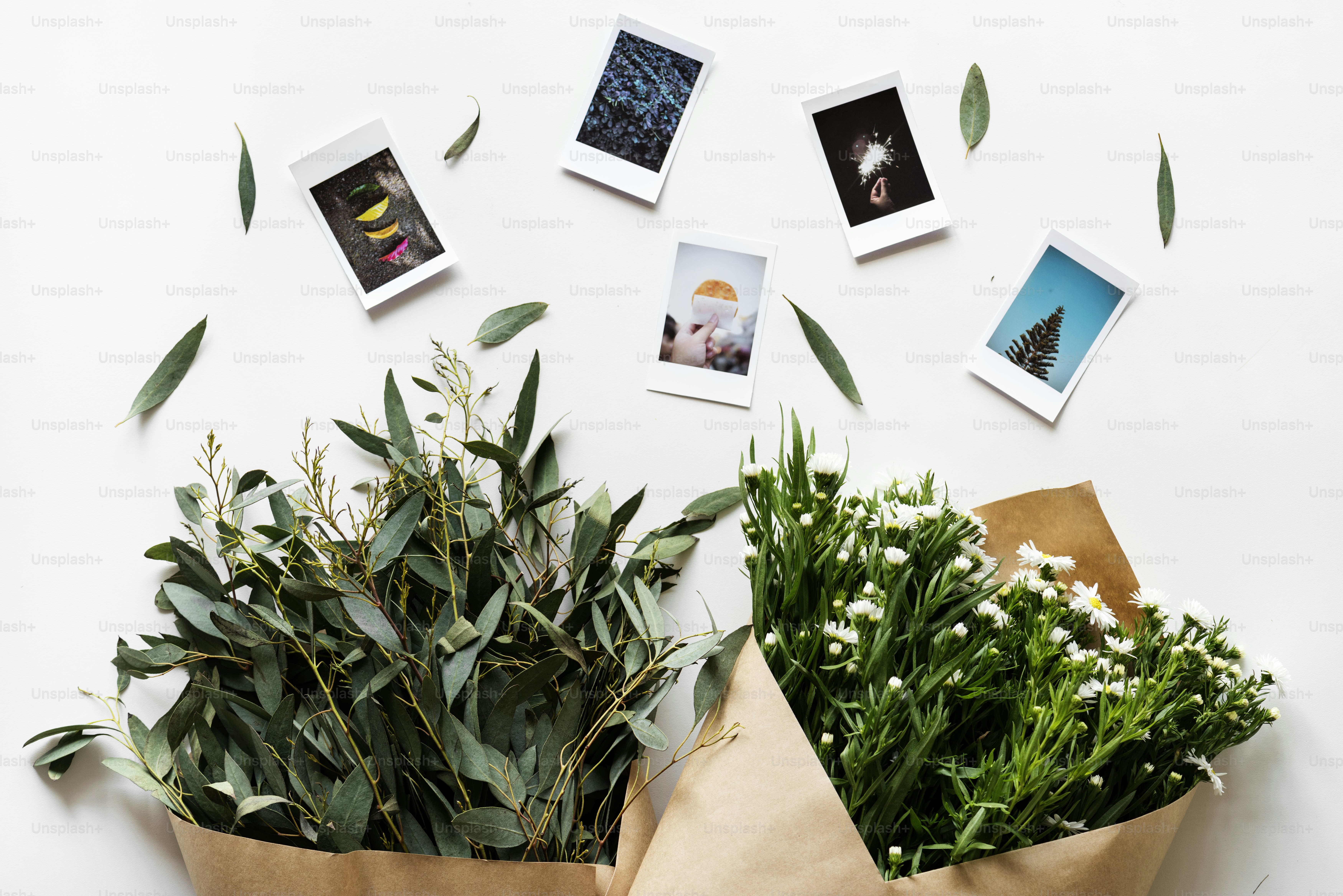 Flat lay of flower bouquet isolated on white background photo – Flat ...
