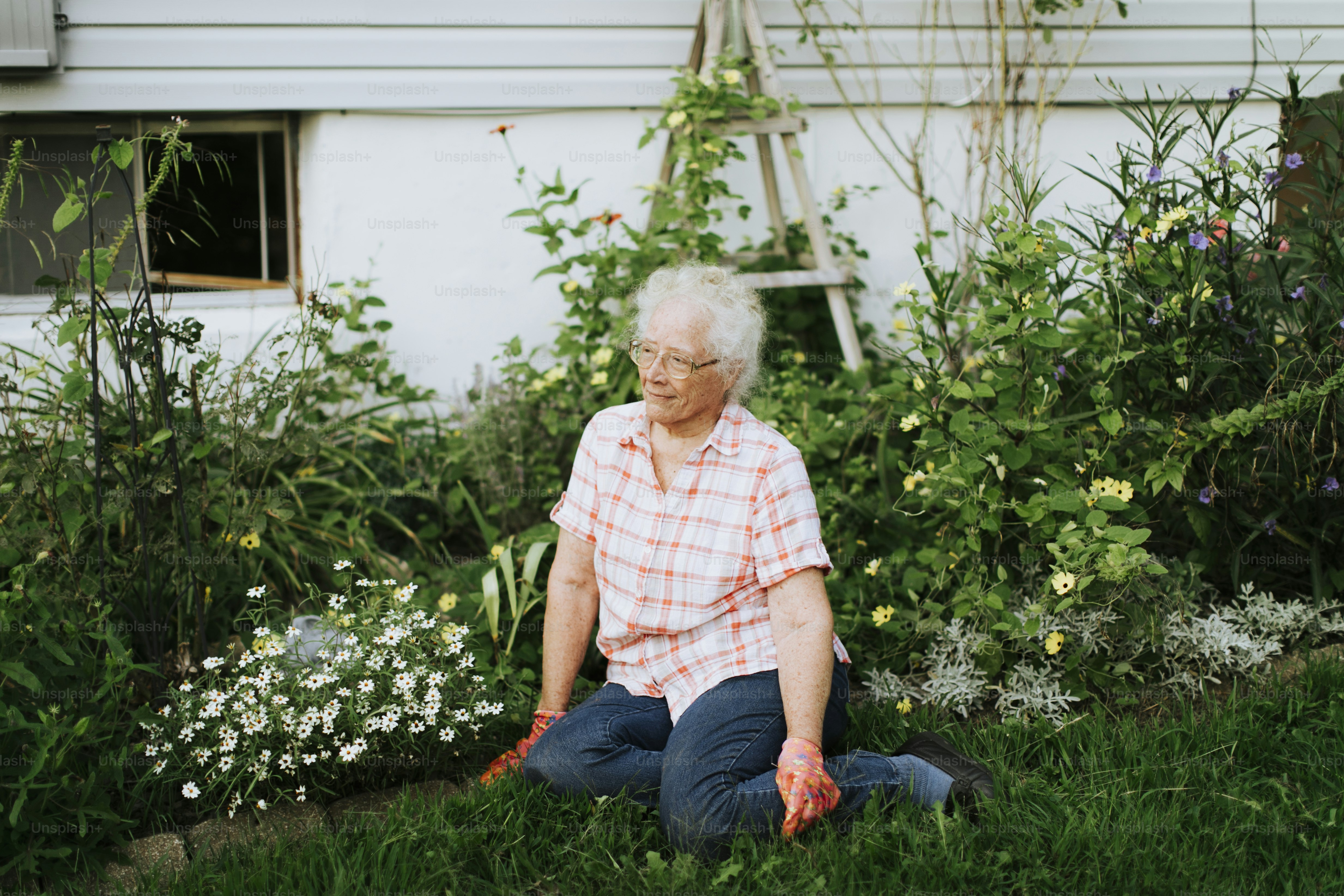 Happy senior woman in her garden photo – Active lifestyle Image on Unsplash