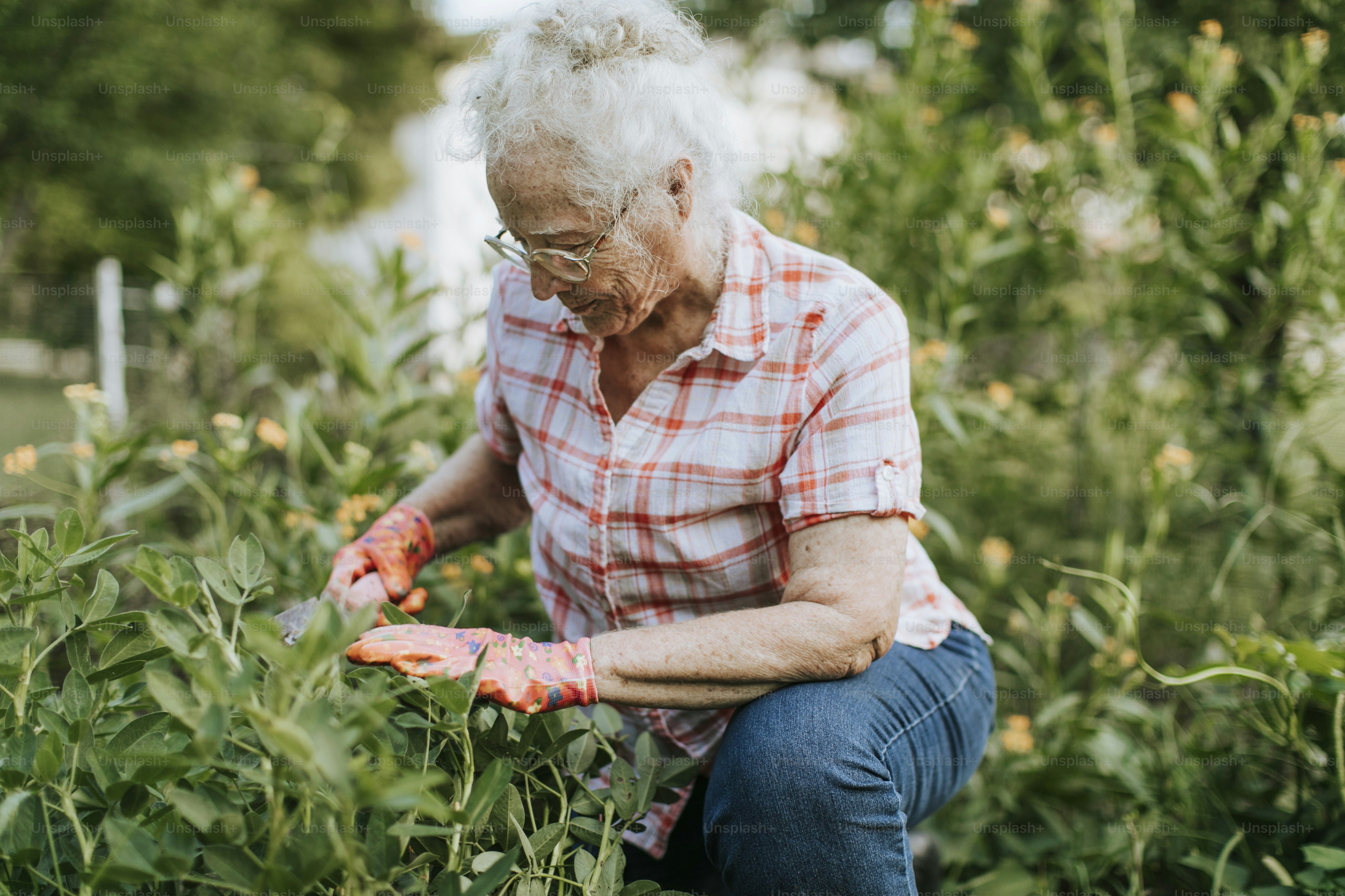 Senior woman tending to her garden