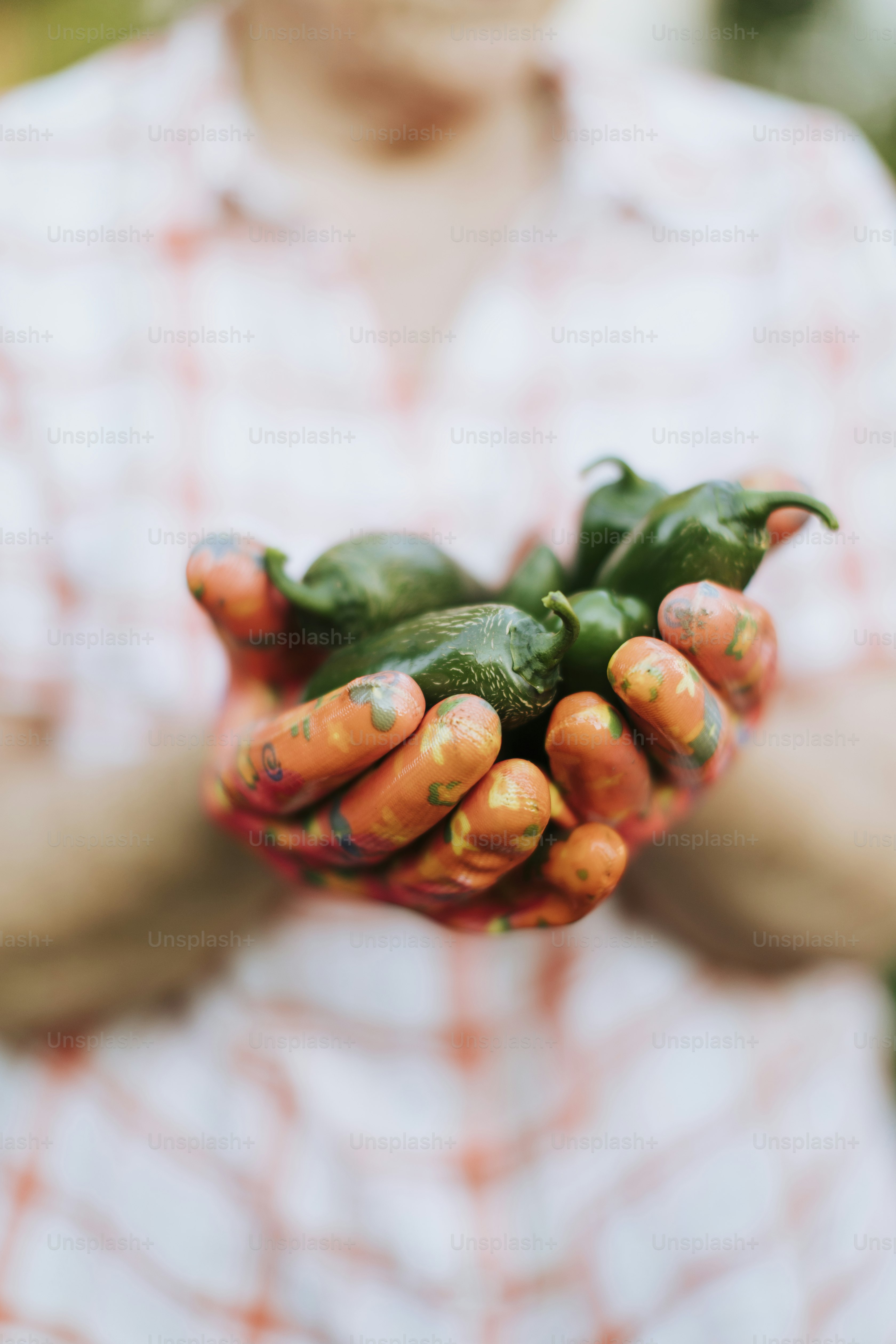 Senior woman holding organic jalapeño peppers from her own garden