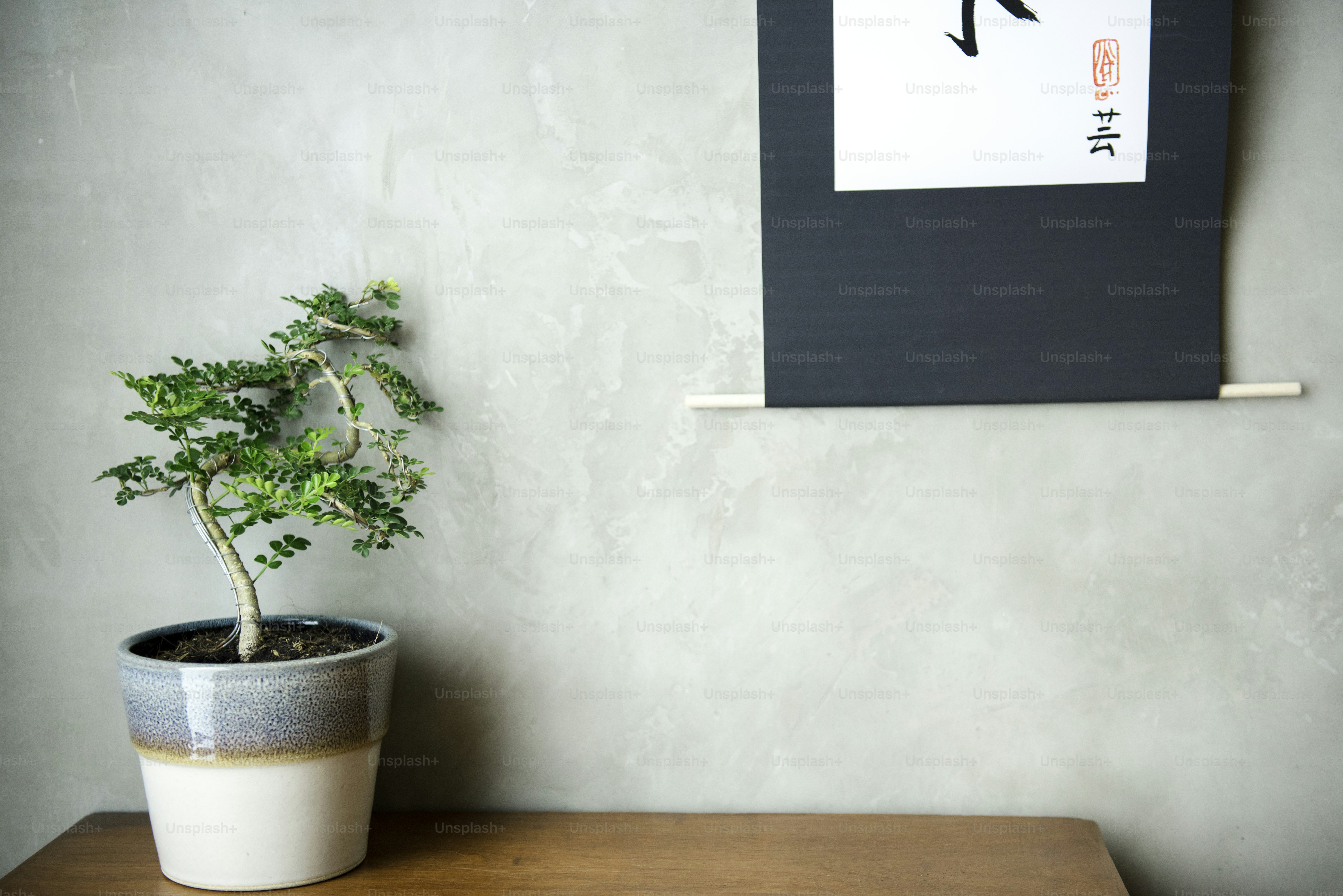 インテリア、ホームデザイン、オリエンタル、和風