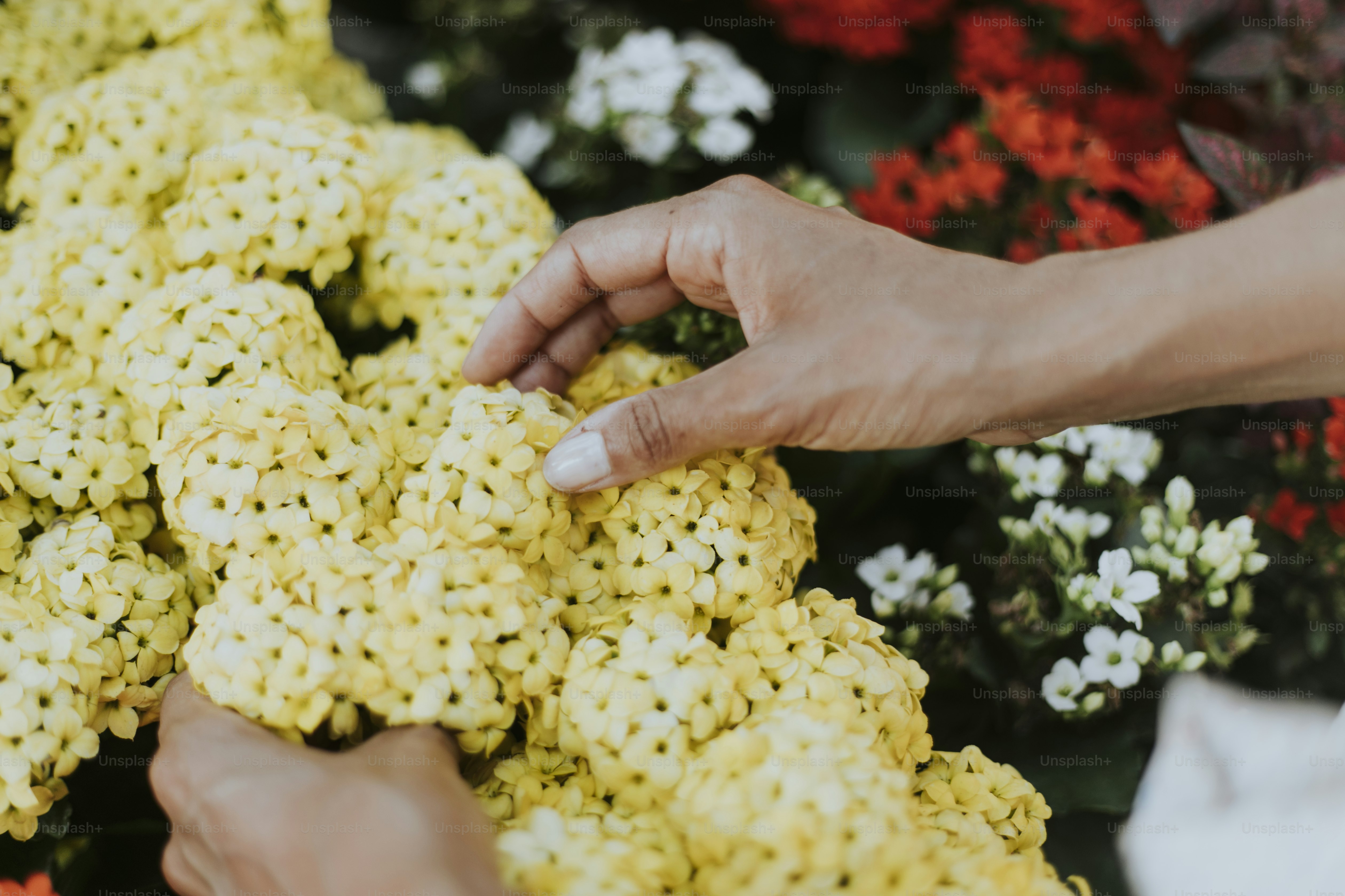 Woman picking up some flowers