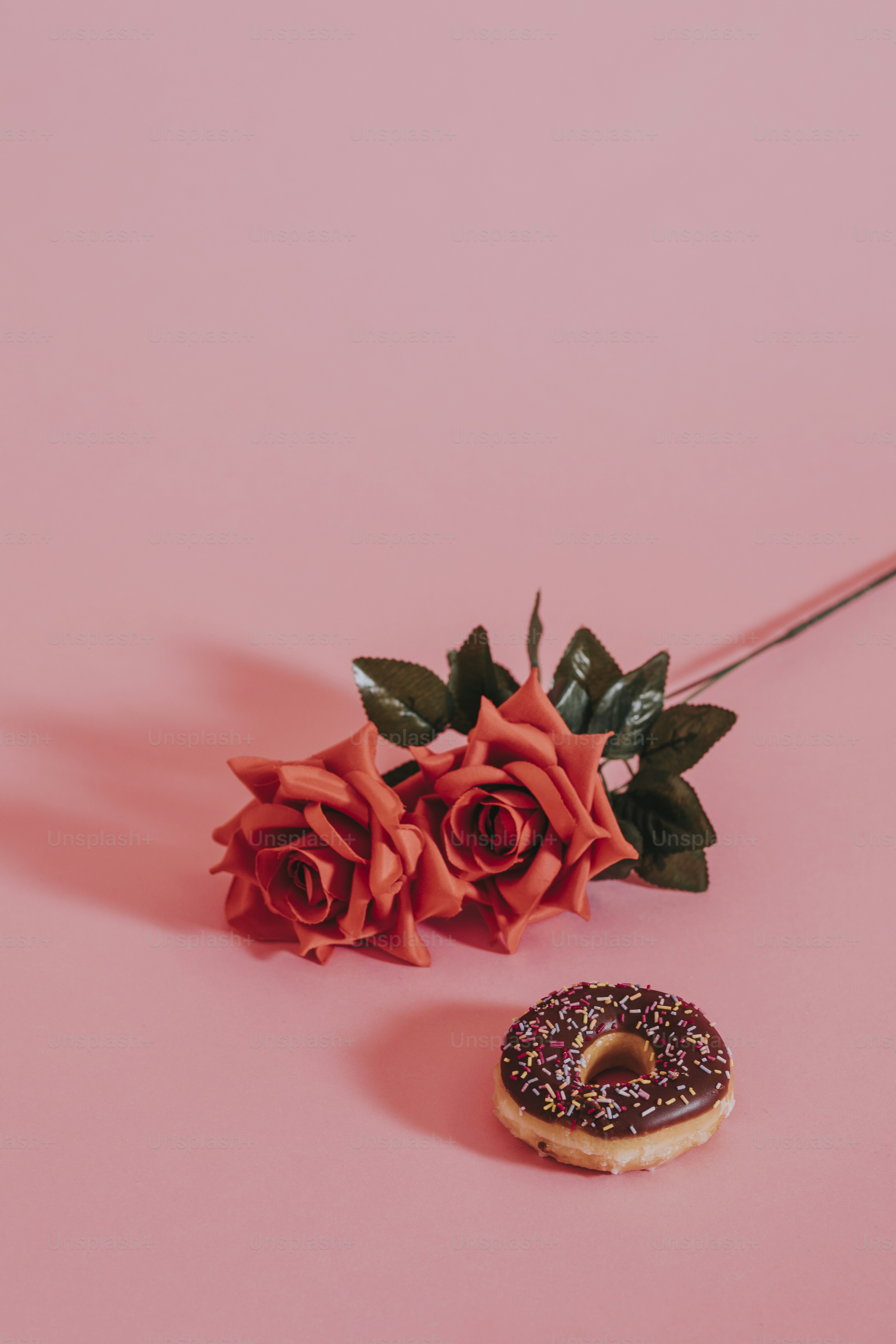 Imágenes de Linda Flor | Descarga imágenes gratuitas en Unsplash, image size:3000x4500