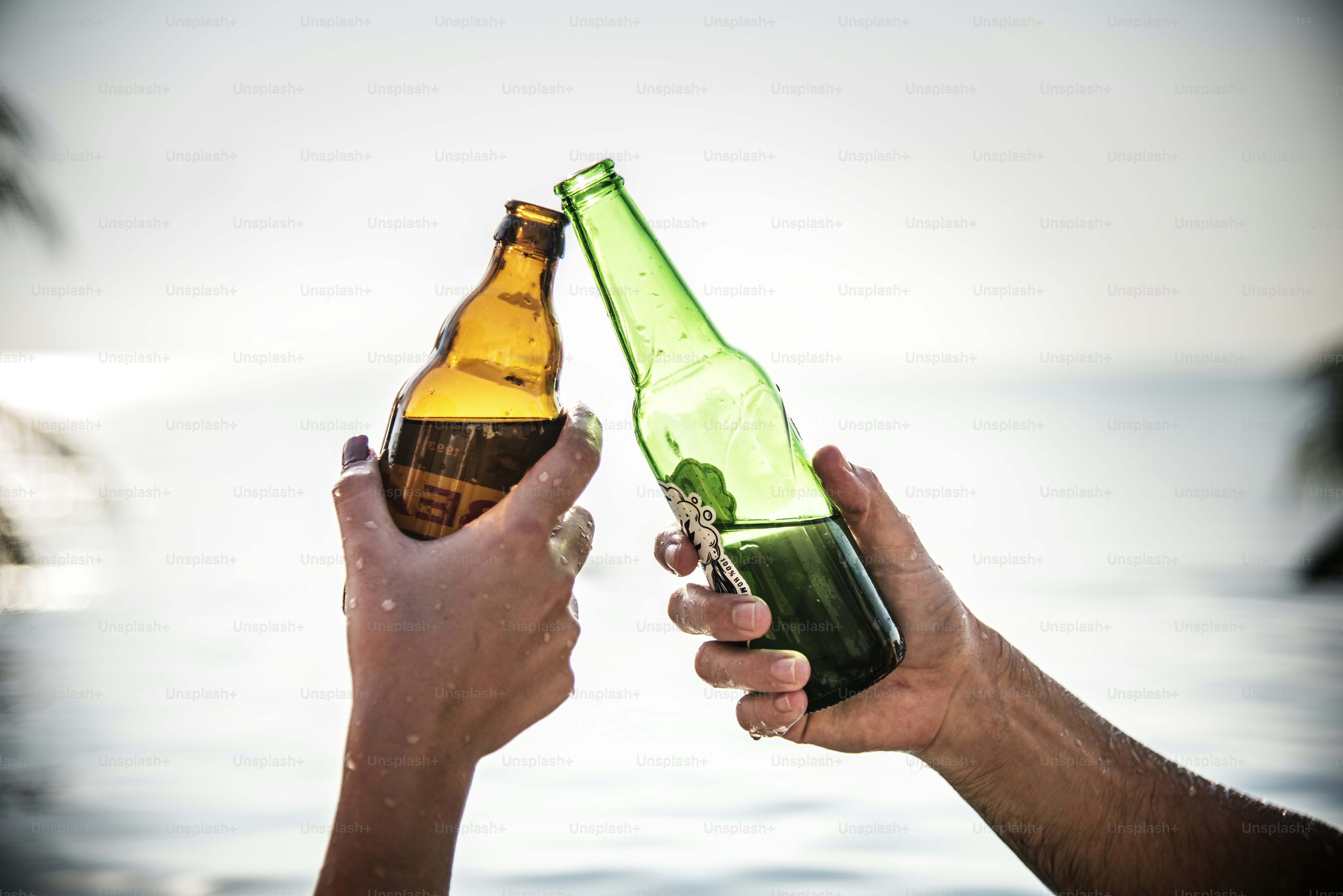 Friends having a drink at the beach