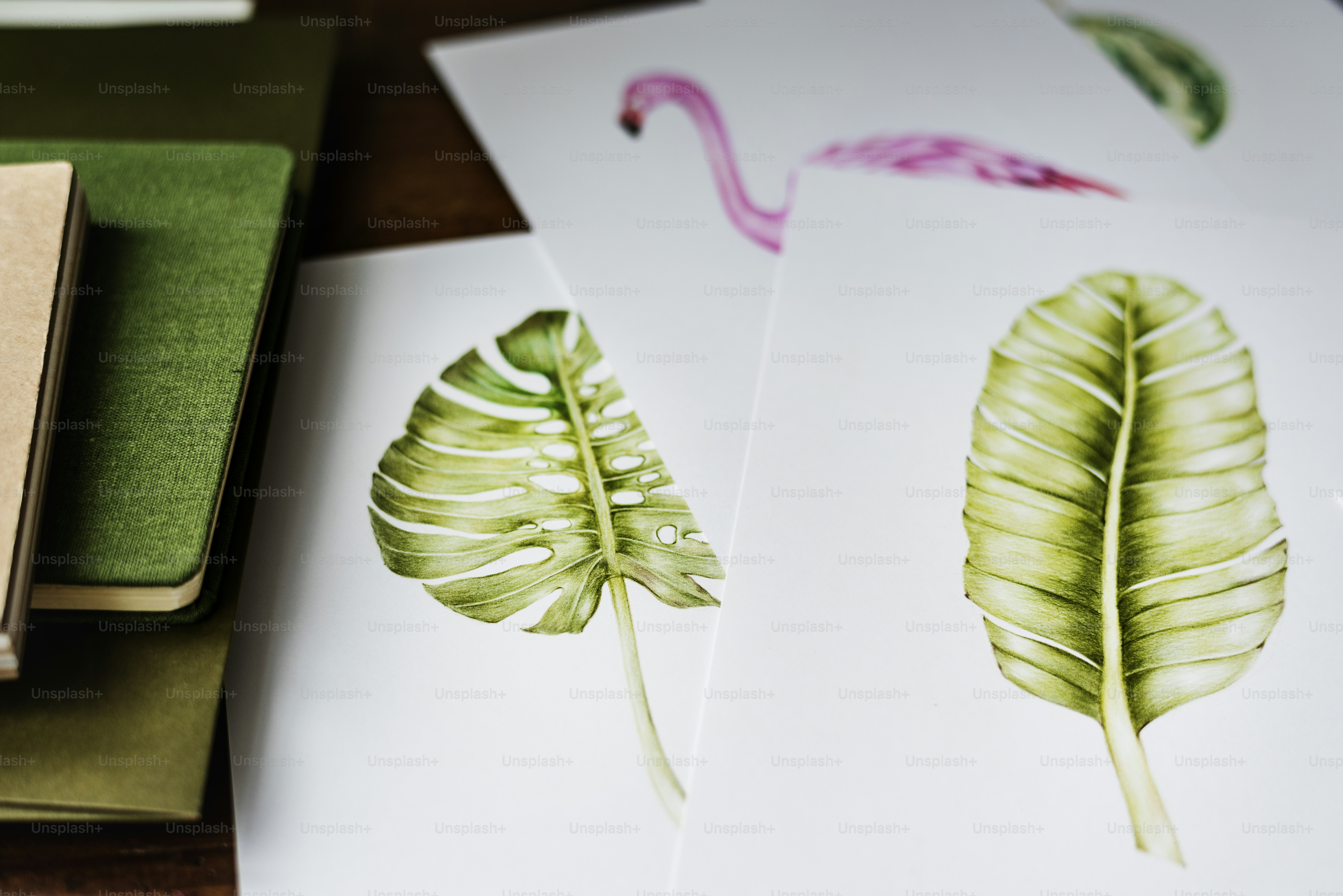Primo piano del disegno della pianta