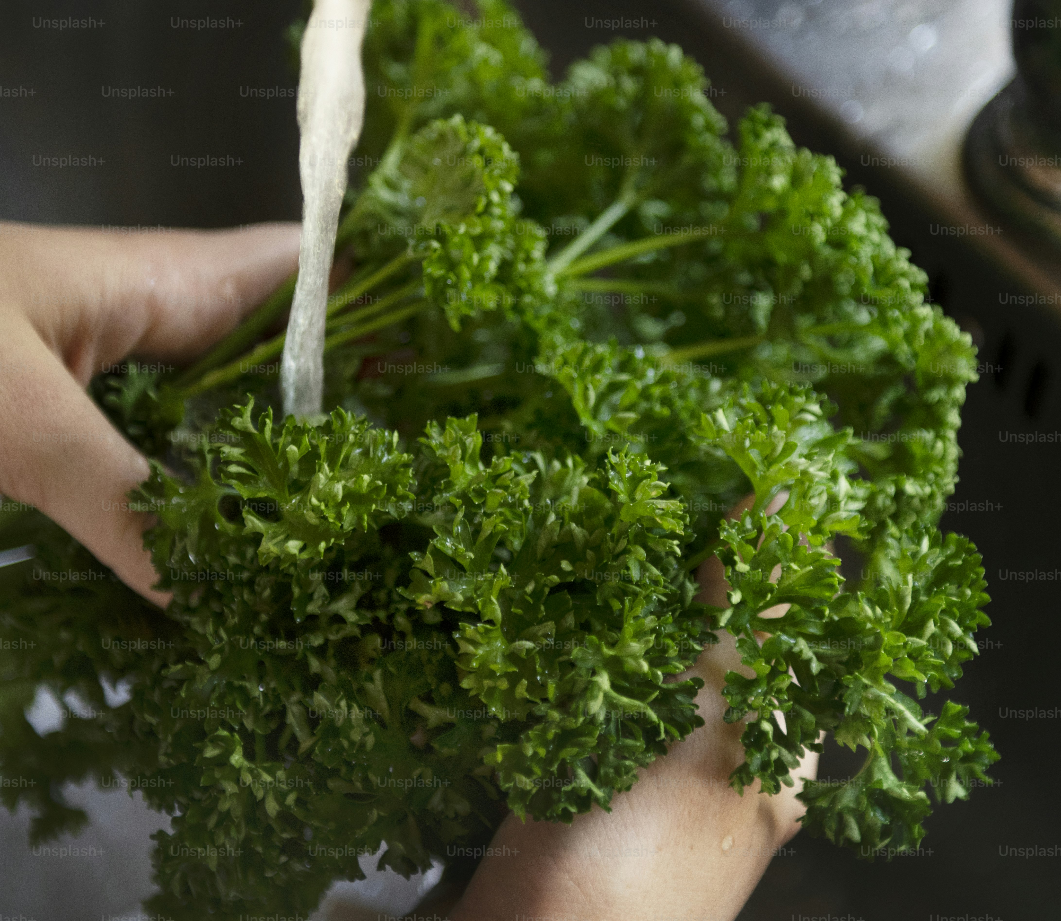 Petersilie unter fließendem Wasser Rezeptidee für die Lebensmittelfotografie