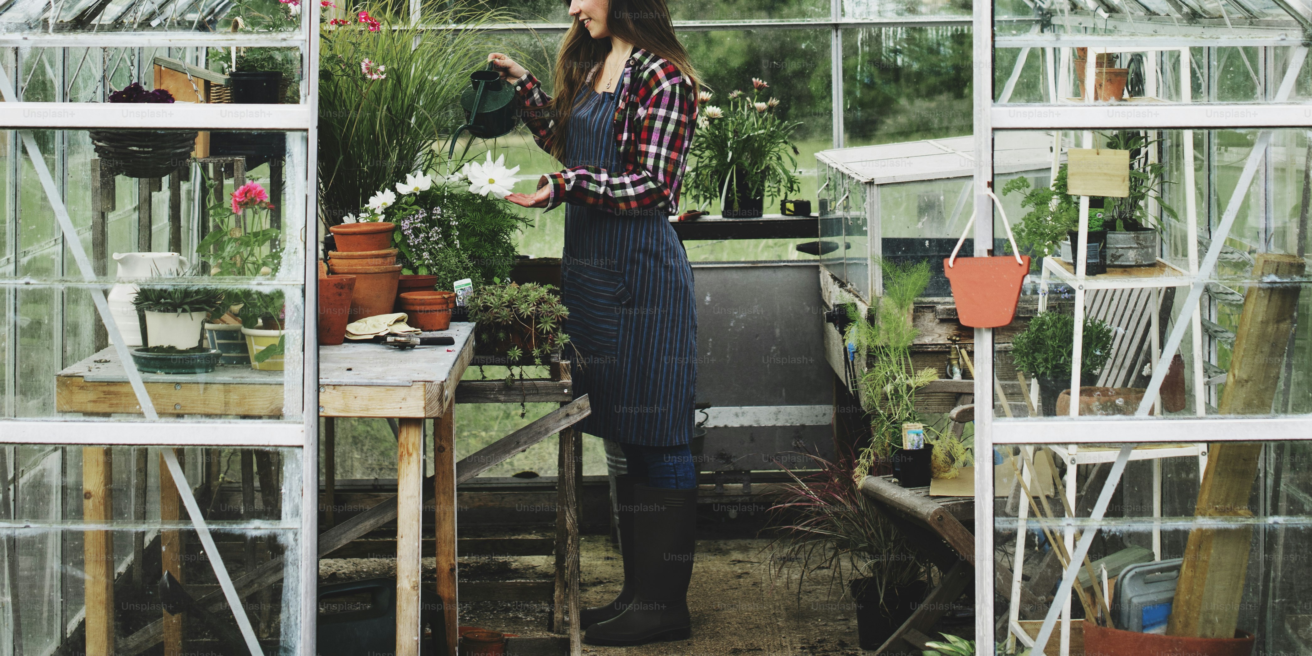 Cultivate Garden Nature Seasonal Growth Concept