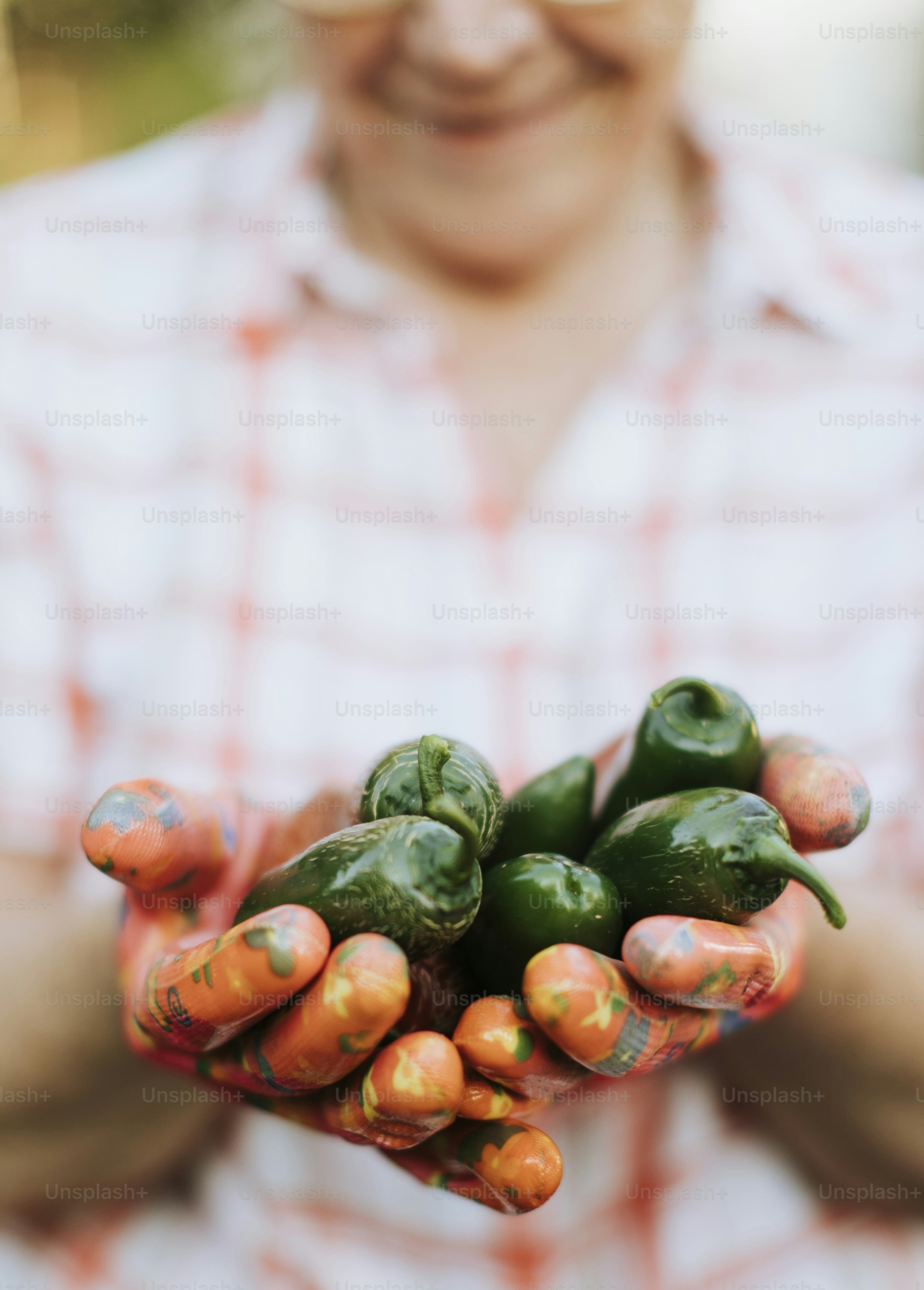 Mulher sênior segurando pimentas jalapeño orgânicas de seu próprio jardim