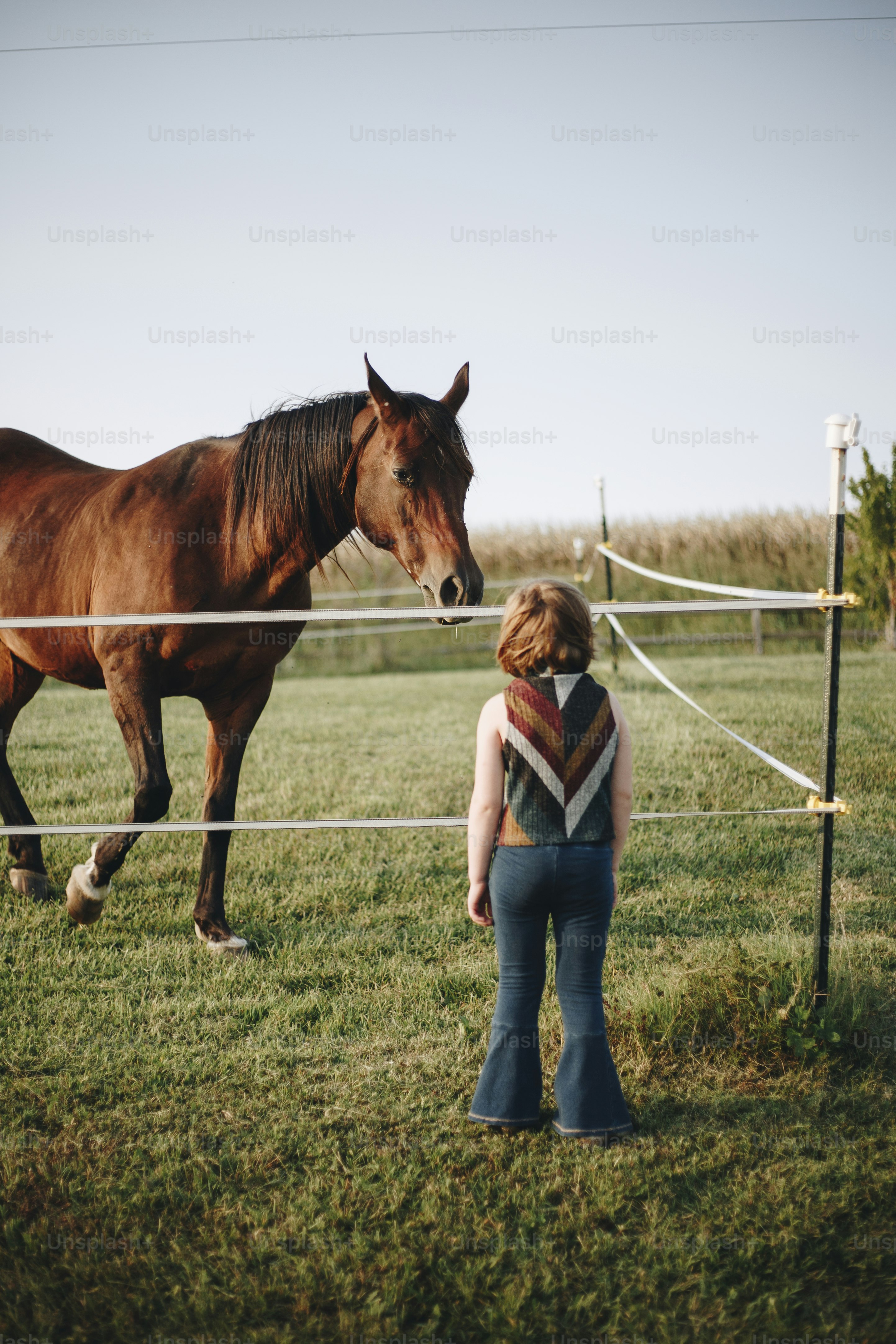Little girl playing with a horse