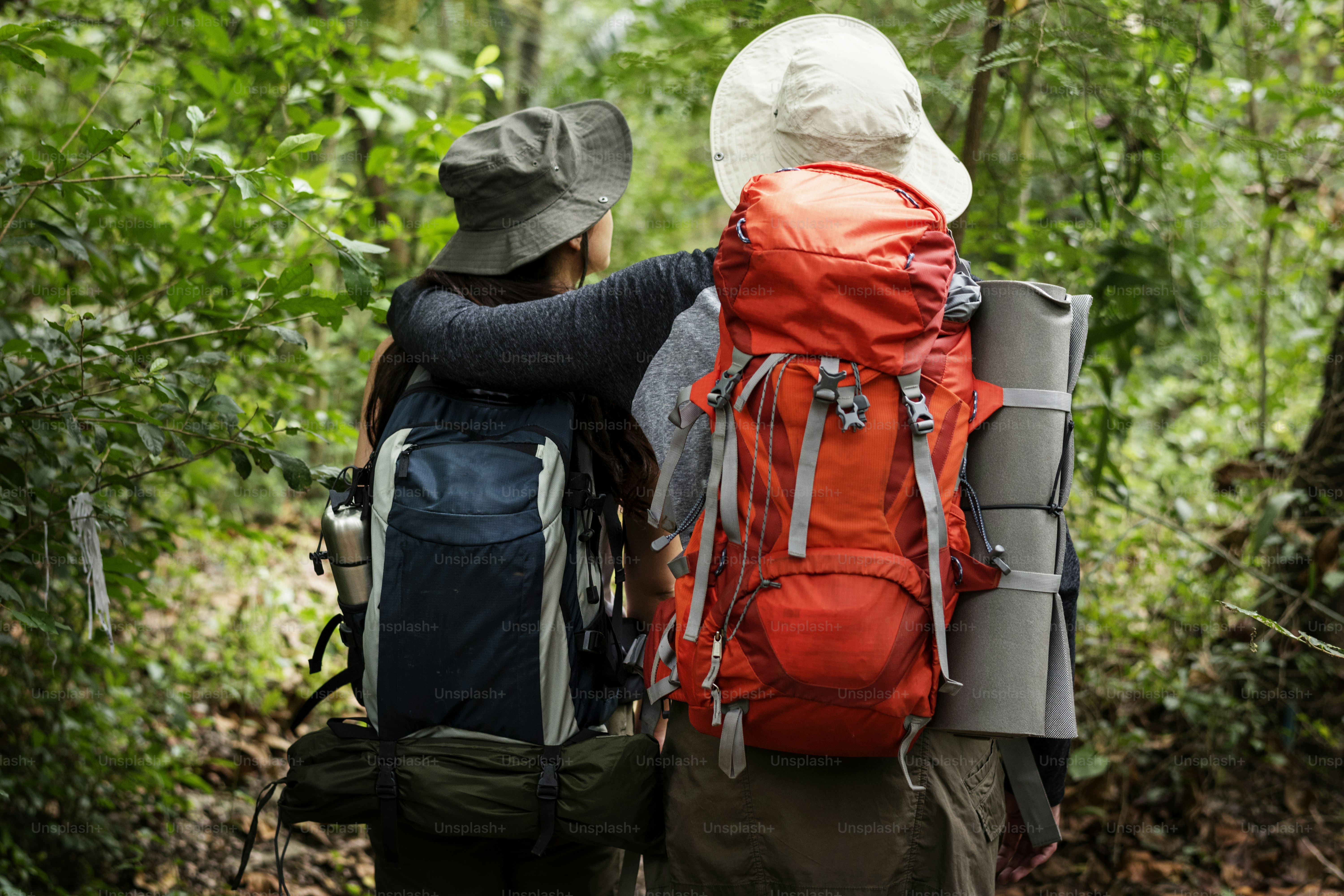 Trekking en un bosque