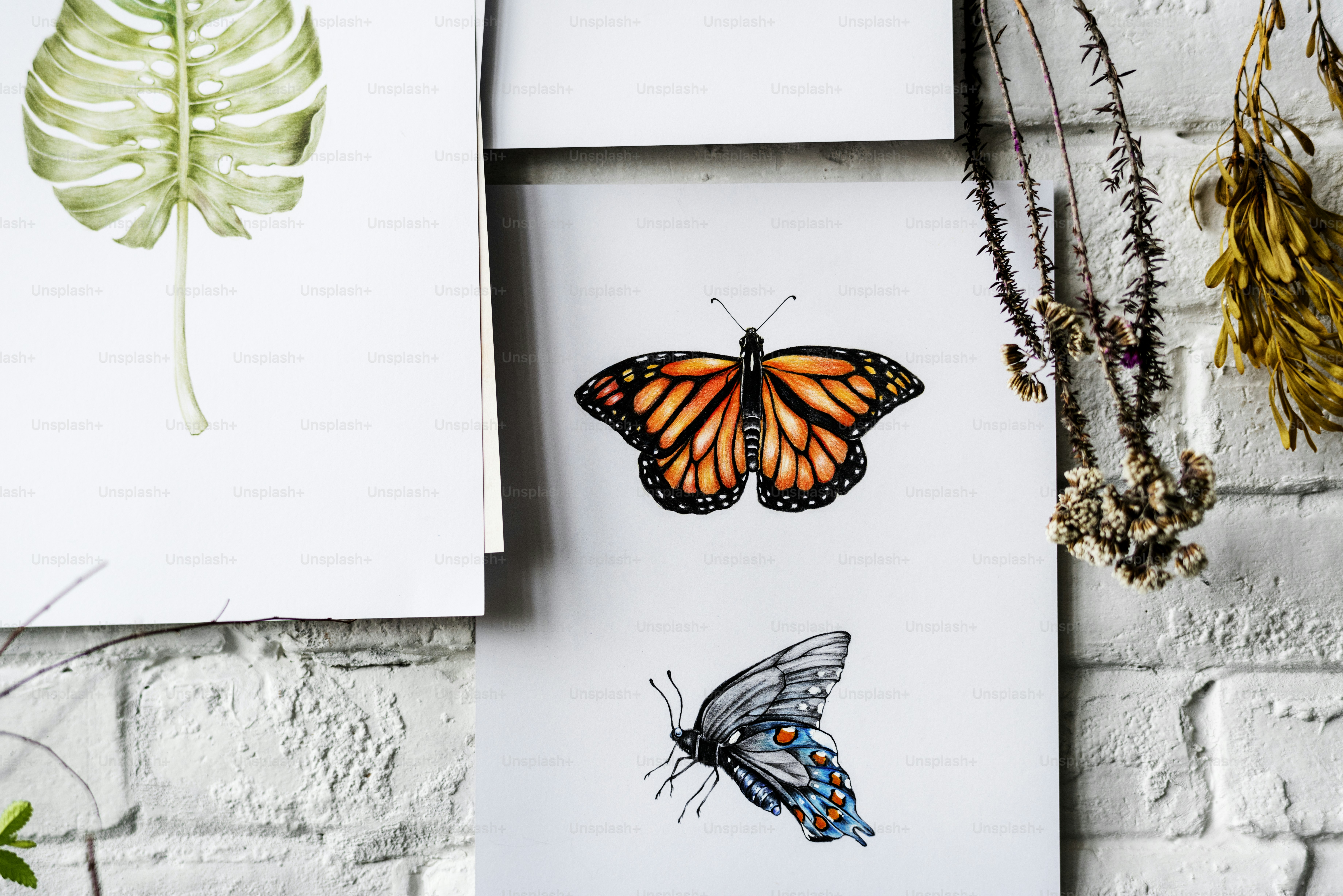 Drawing butterfly by the white brick wall