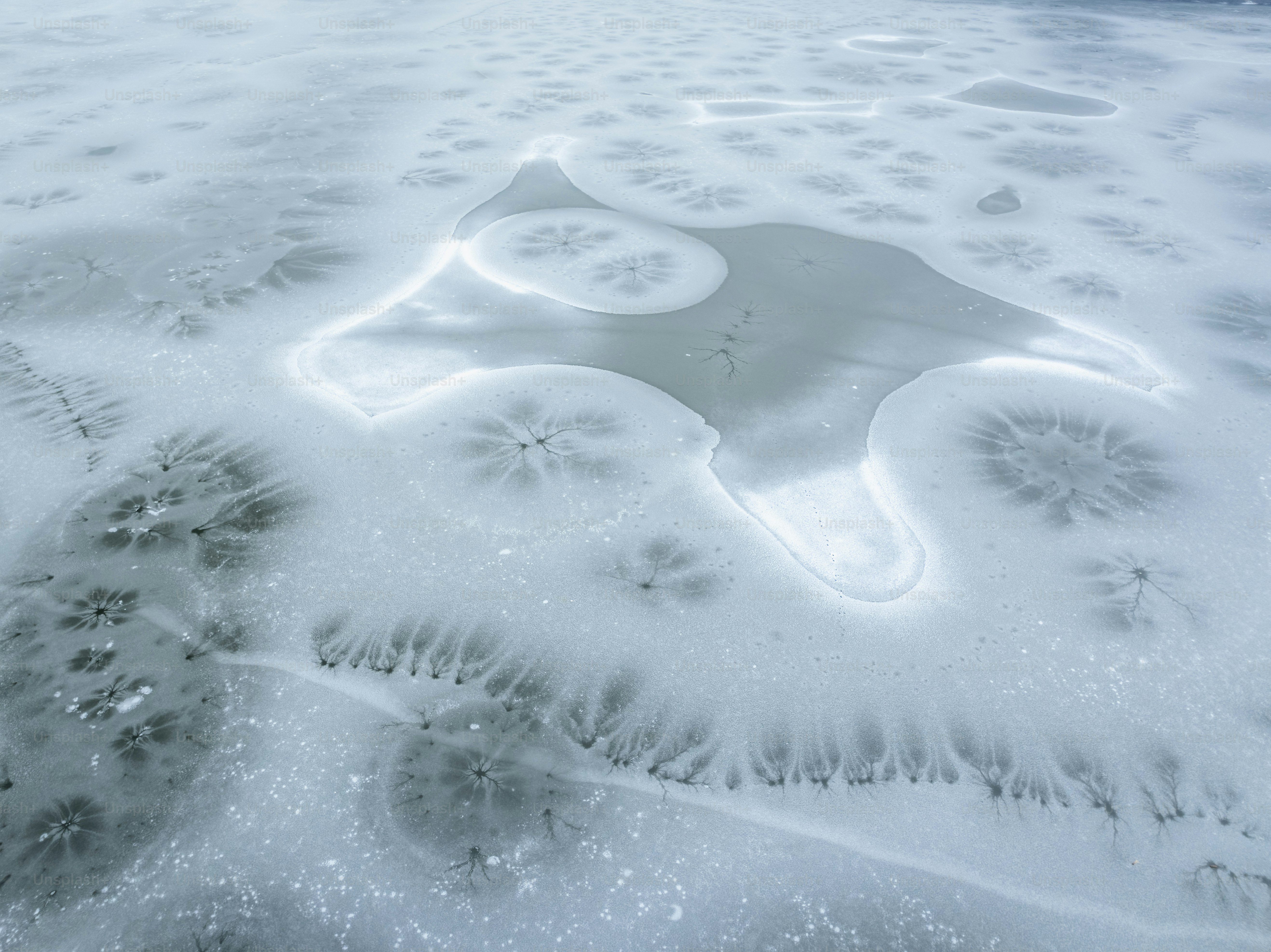 雪に覆われた地面と雪の中に足跡