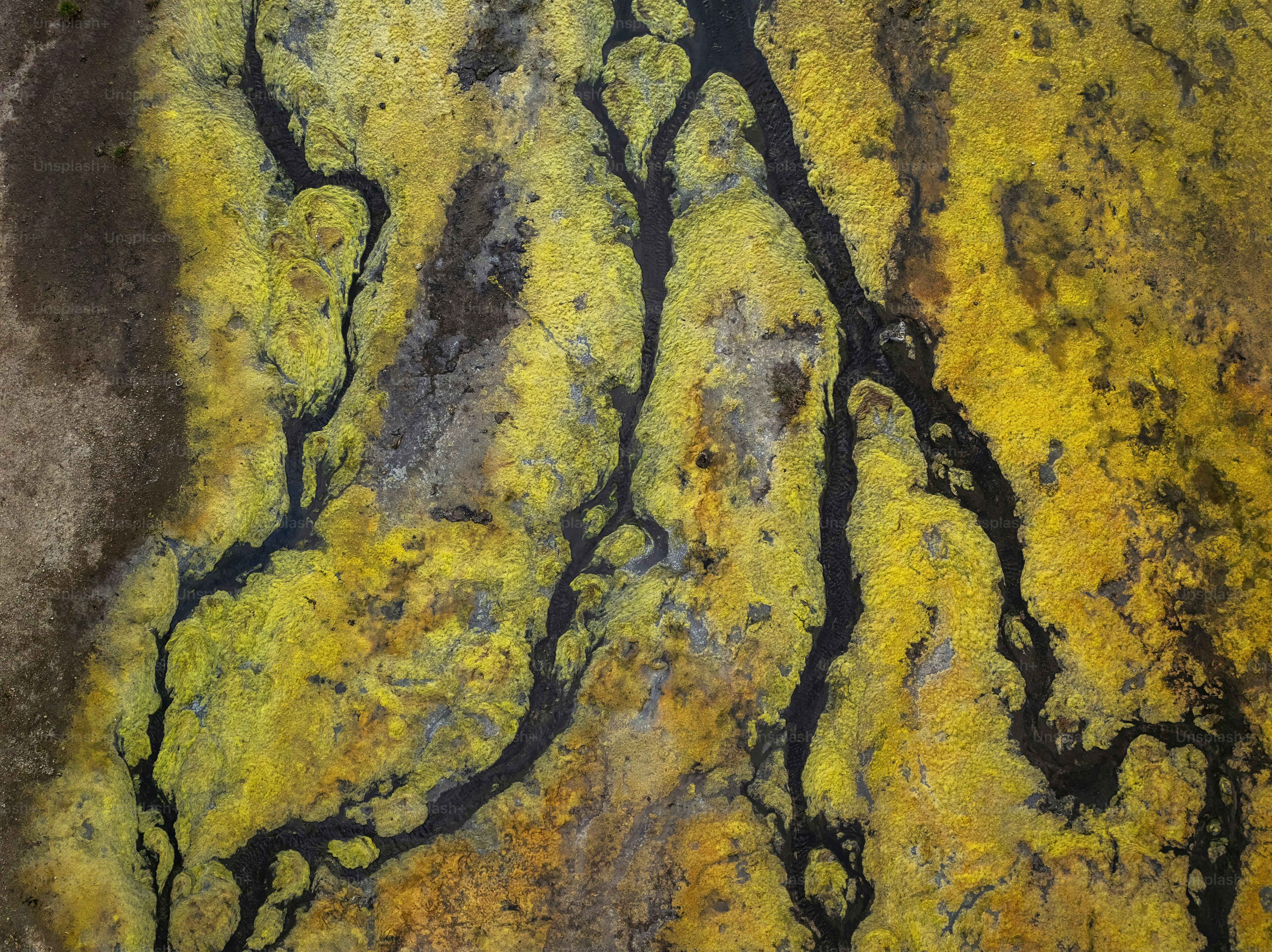 Un gros plan d’une substance jaune et noire