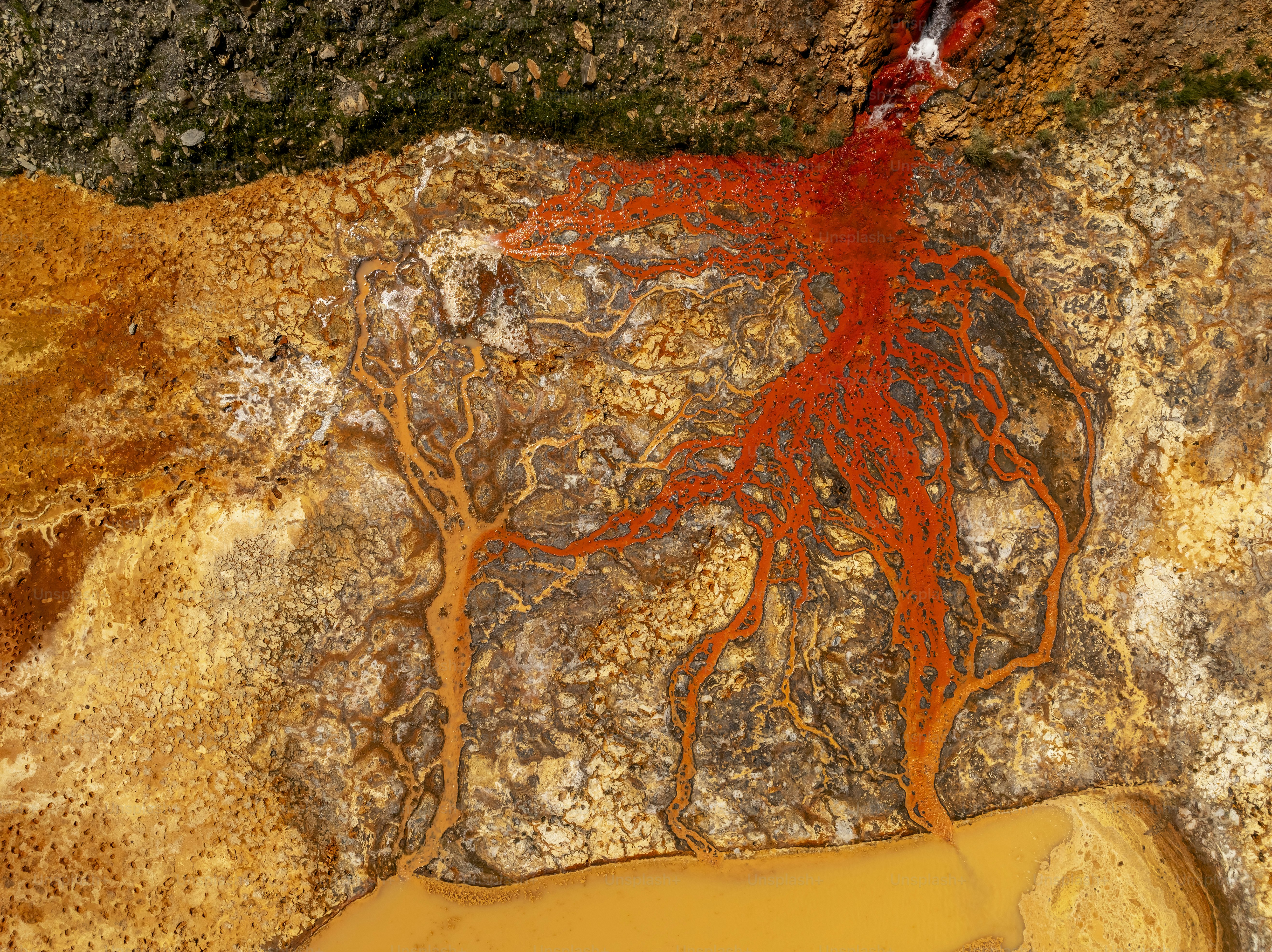 A painting on a rock with a tree on it
