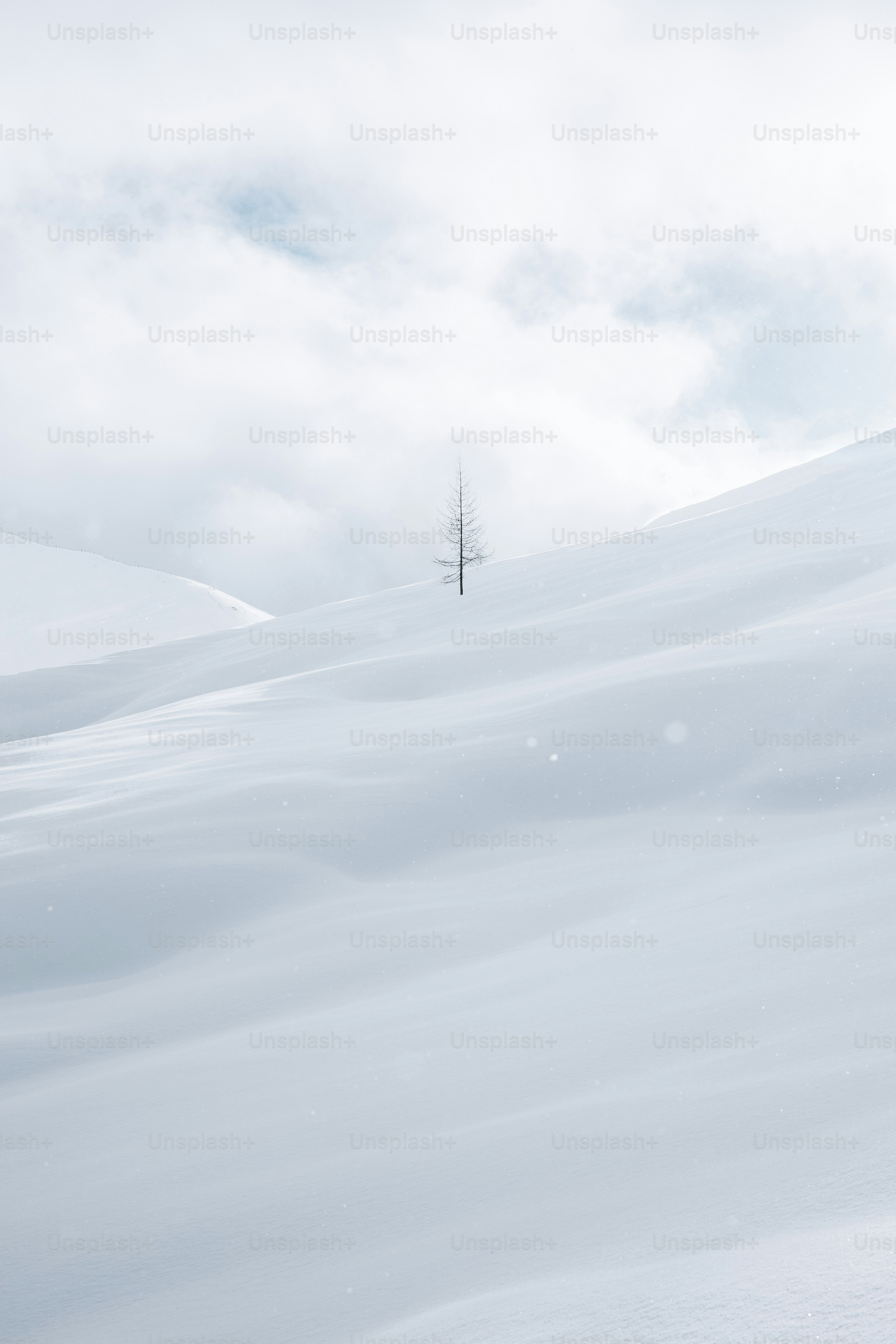 A man riding skis down a snow covered slope