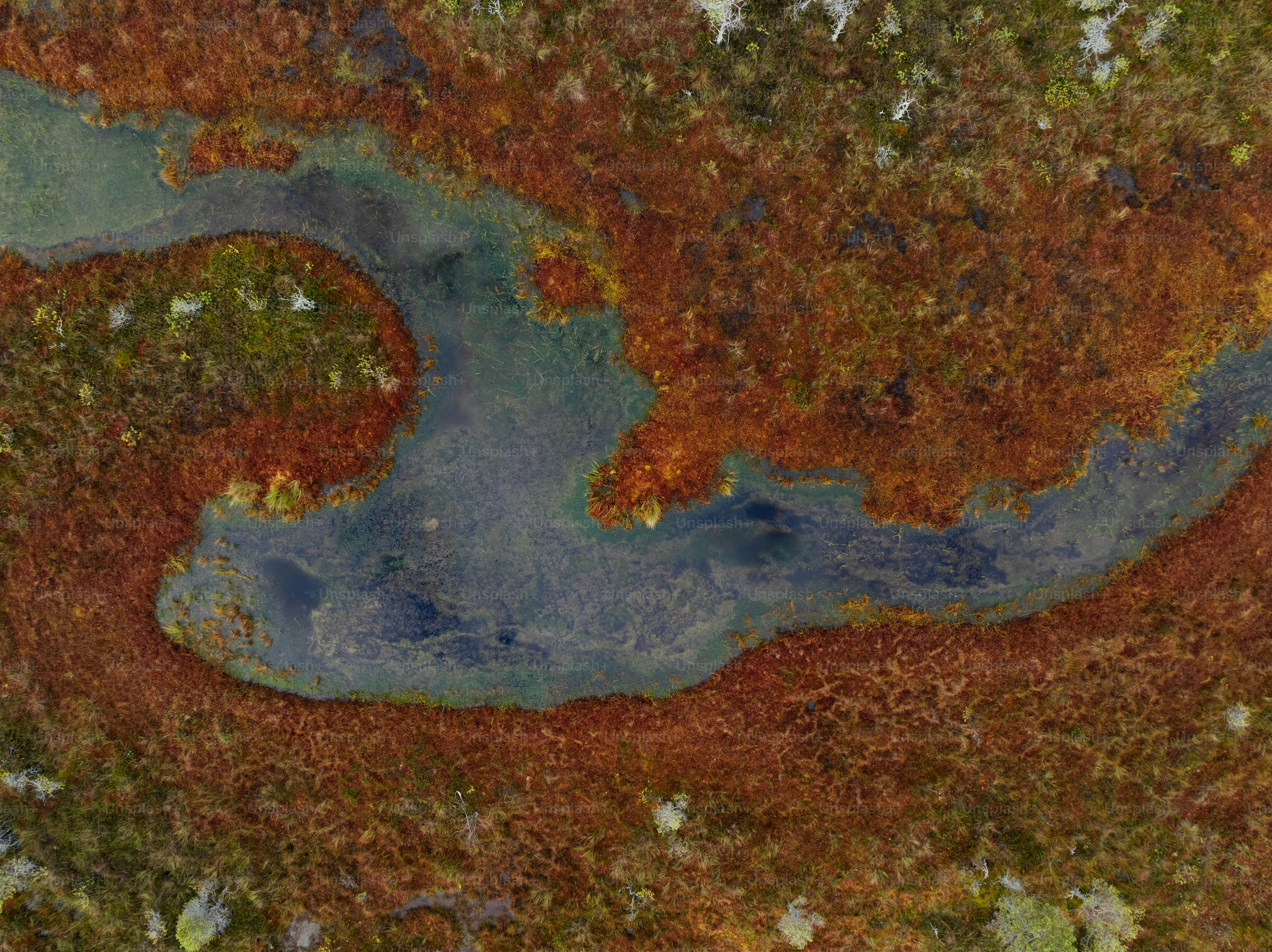 An aerial view of a body of water