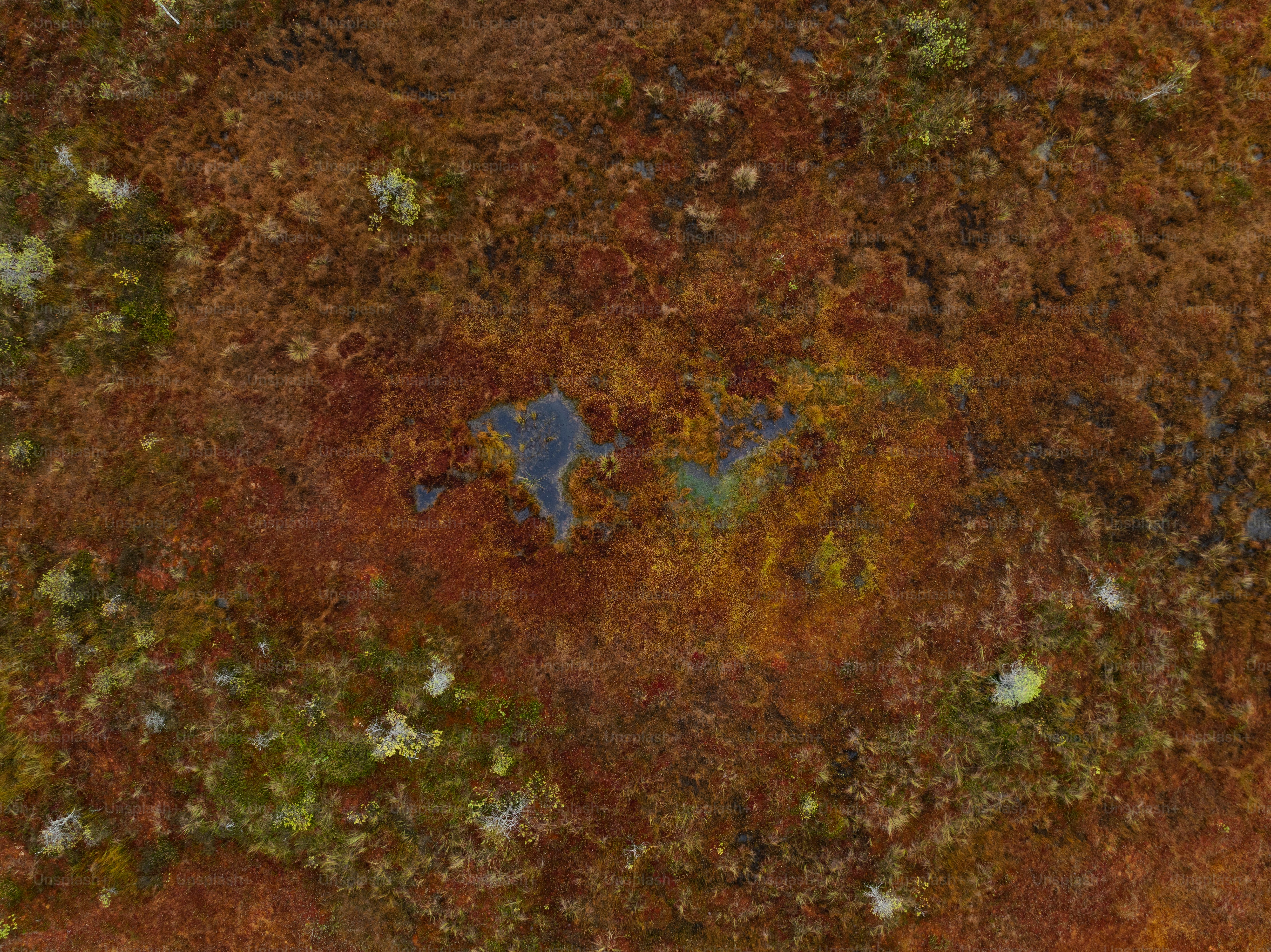 Vista aérea de um pedaço de grama e terra