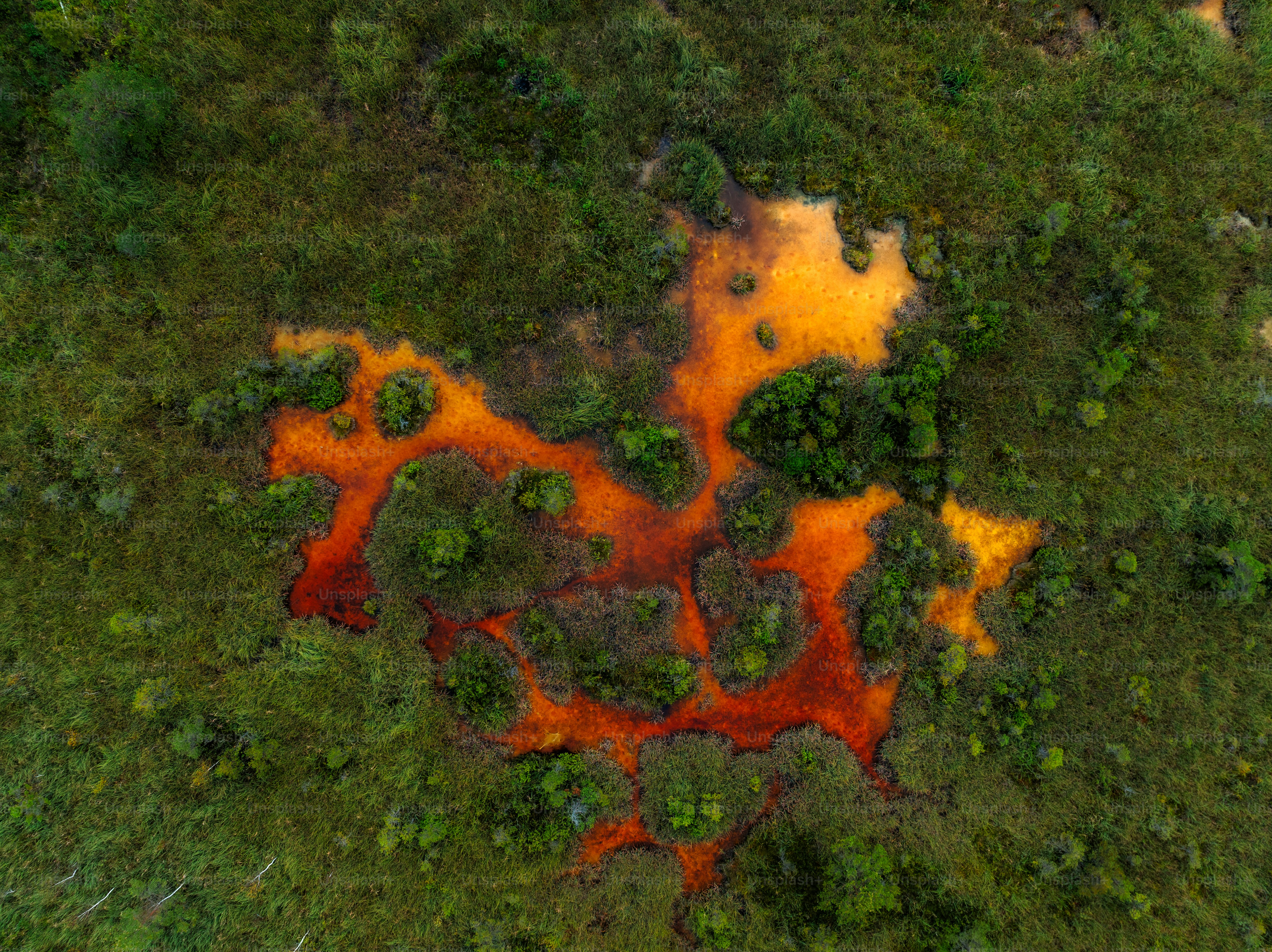 An aerial view of a green area with orange substance