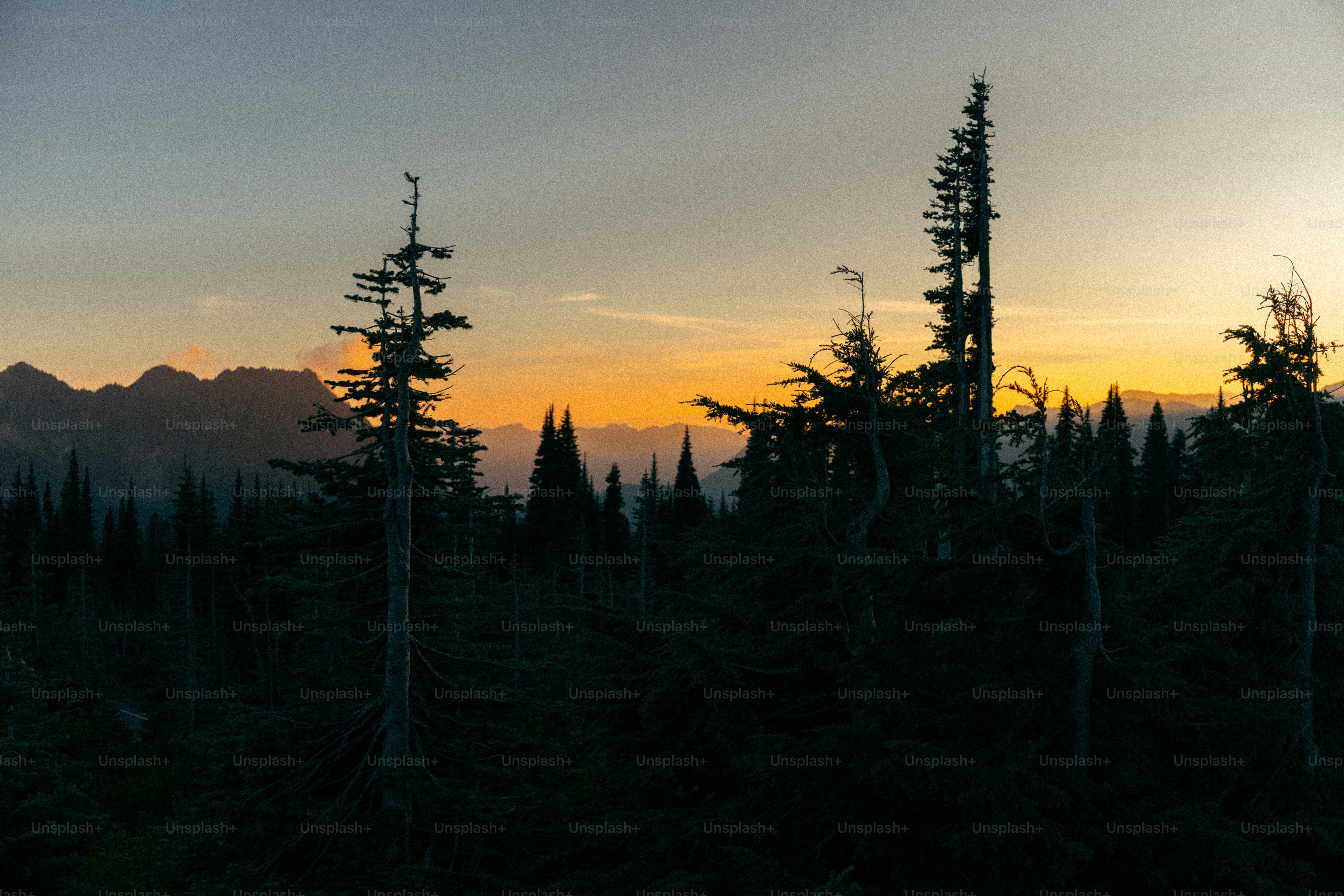 The sun is setting over the mountains and trees