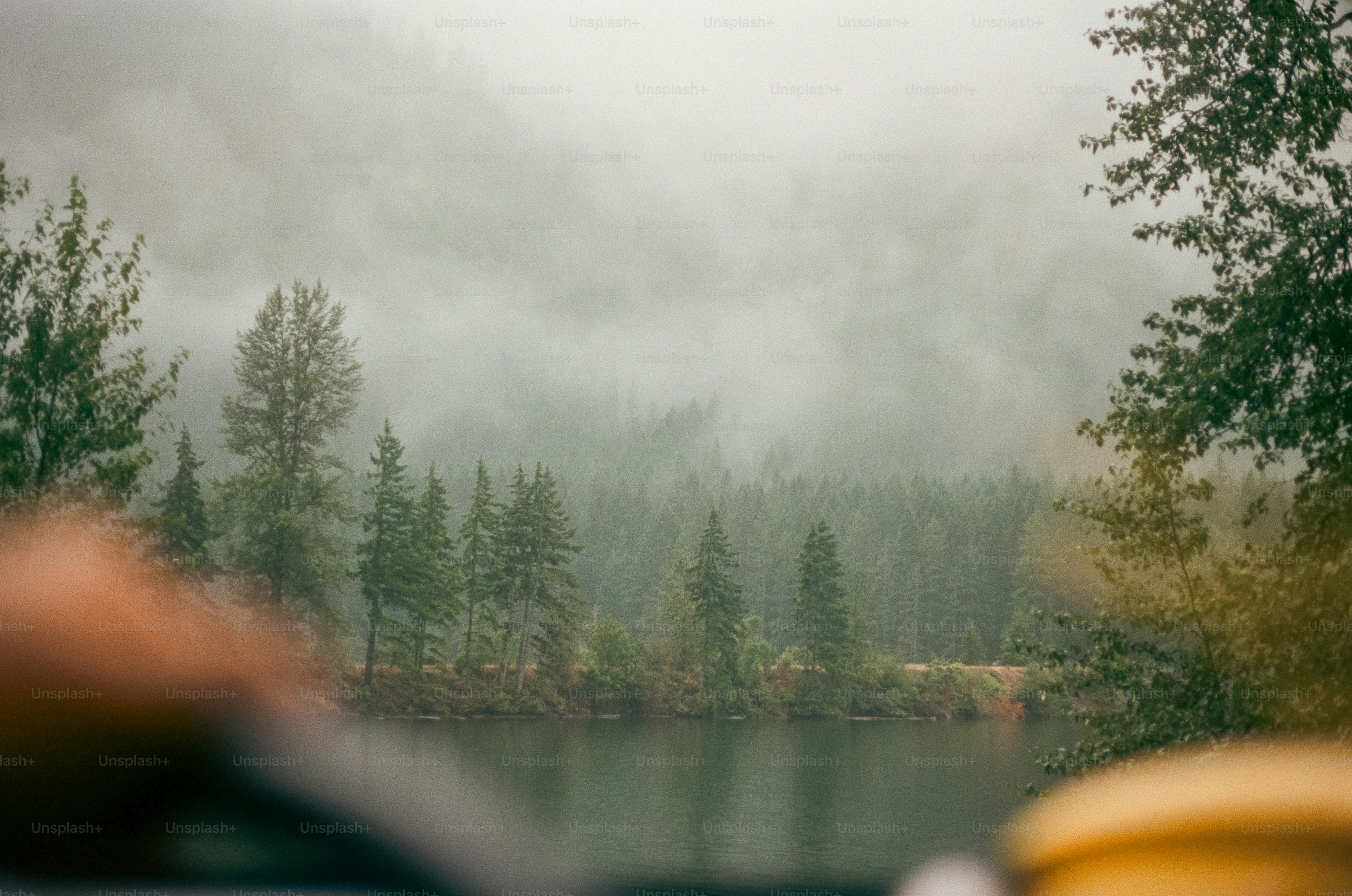 A view of a lake from a boat on a foggy day