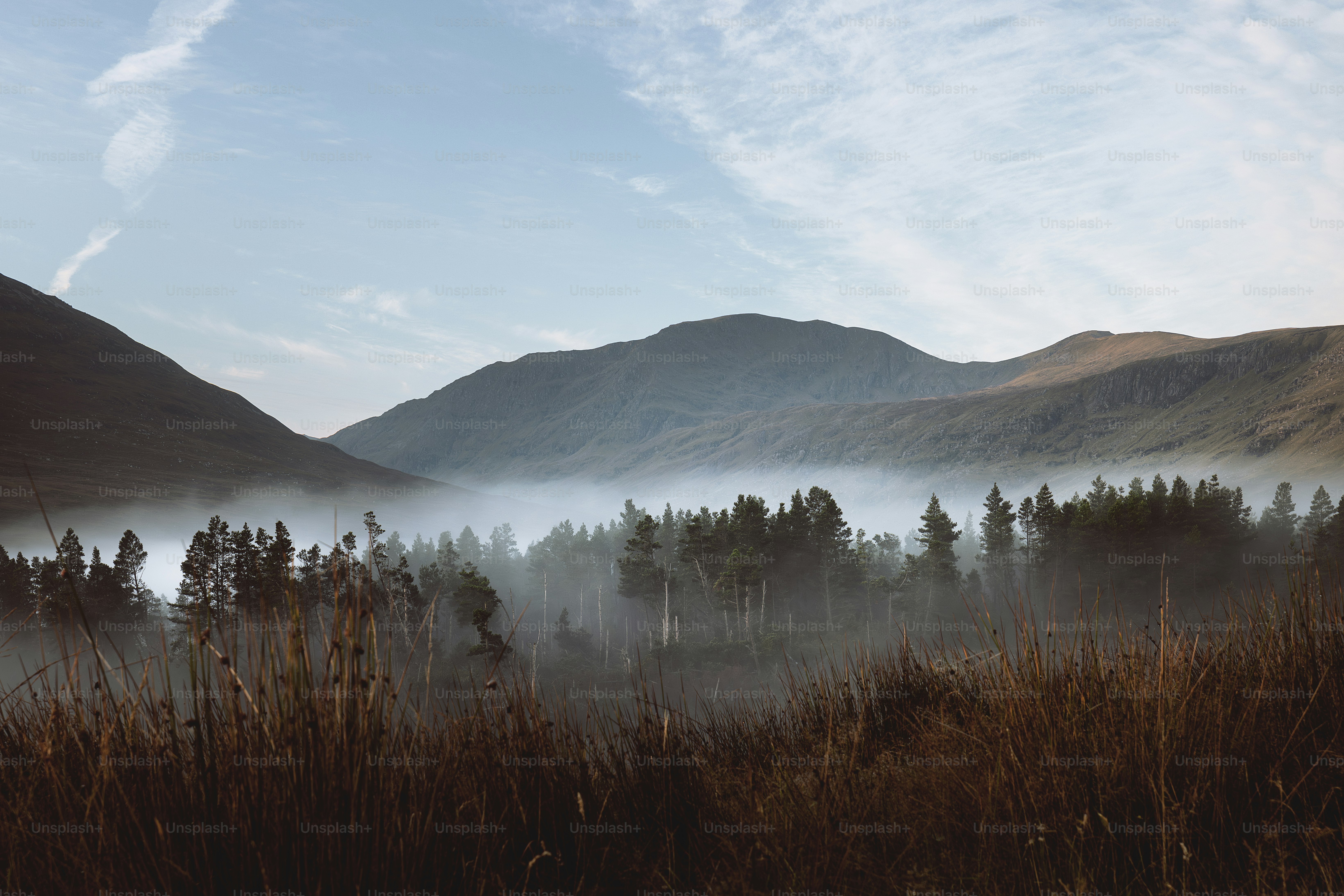 Un champ brumeux avec des montagnes en arrière-plan