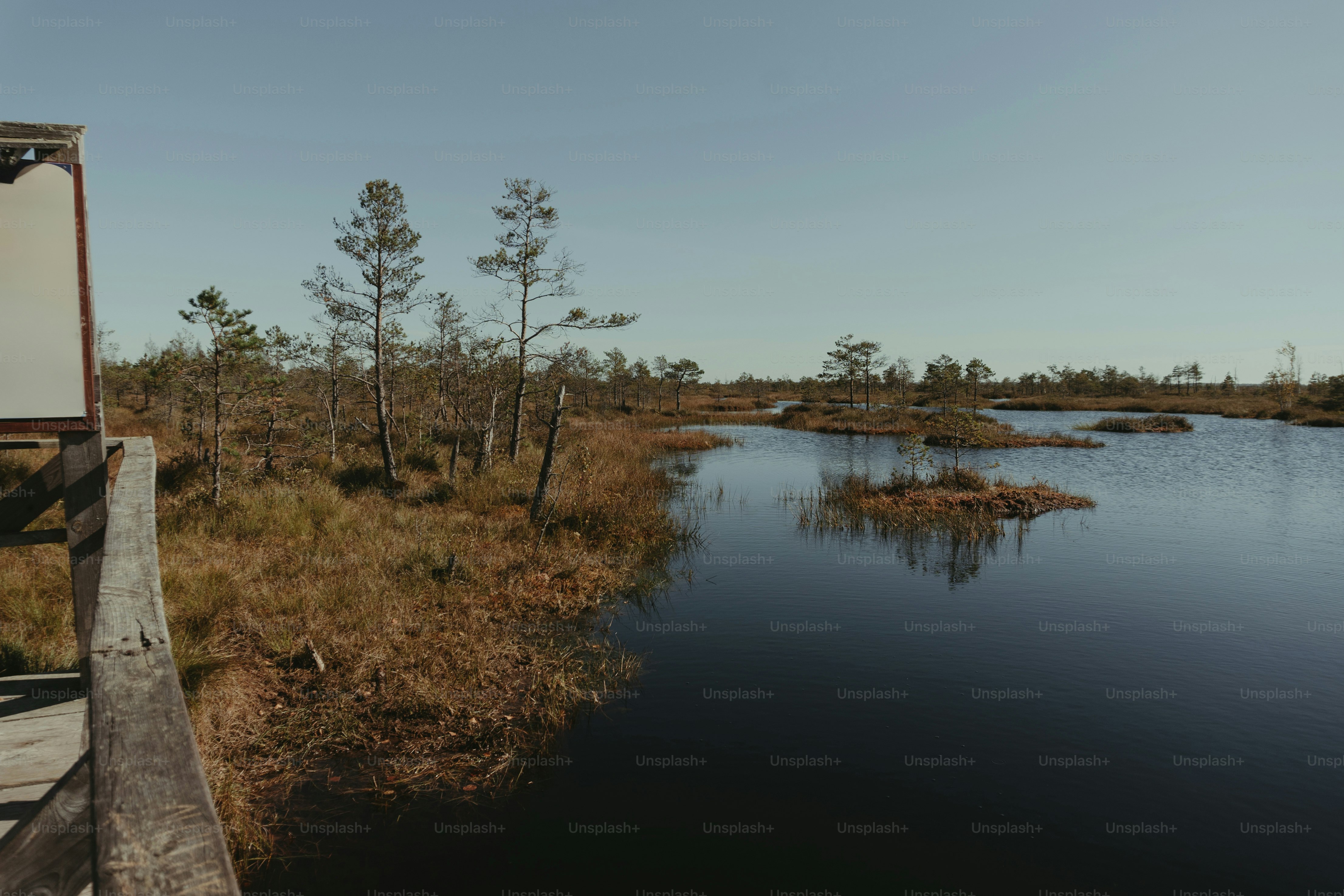 A small body of water surrounded by grass and trees