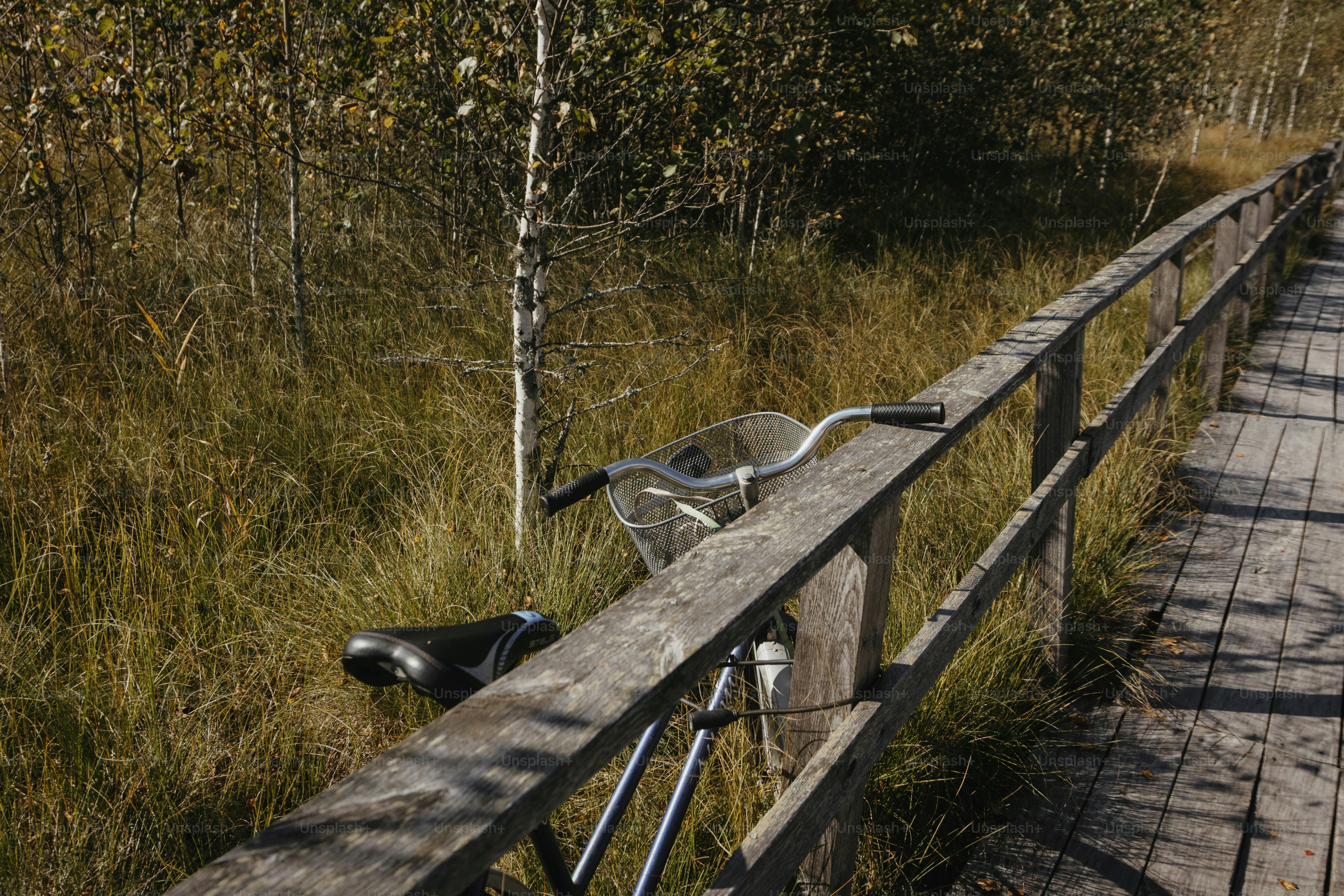 A bike leaning against a rail on a bridge