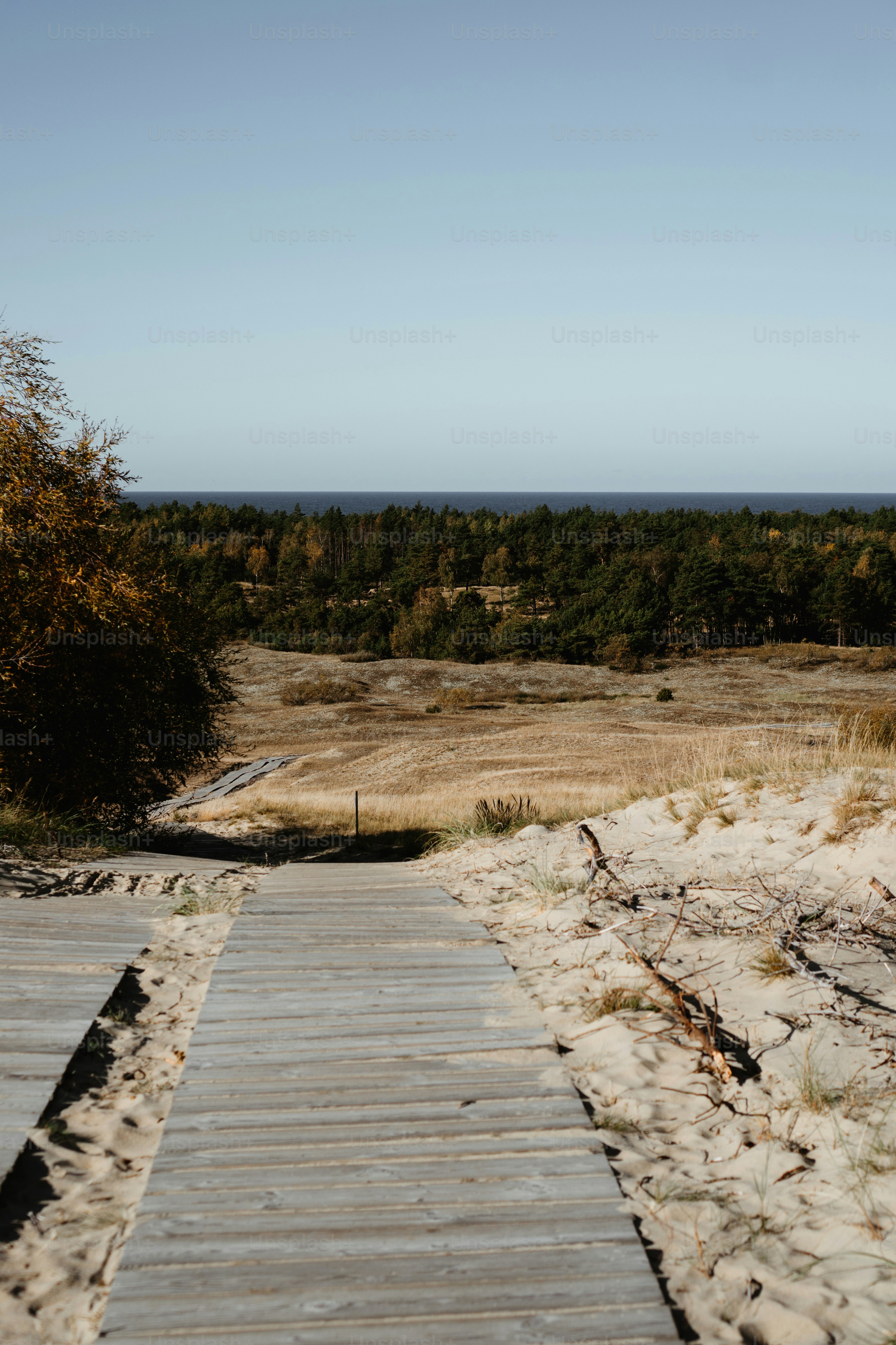 A wooden walkway leading to the beach with trees in the background