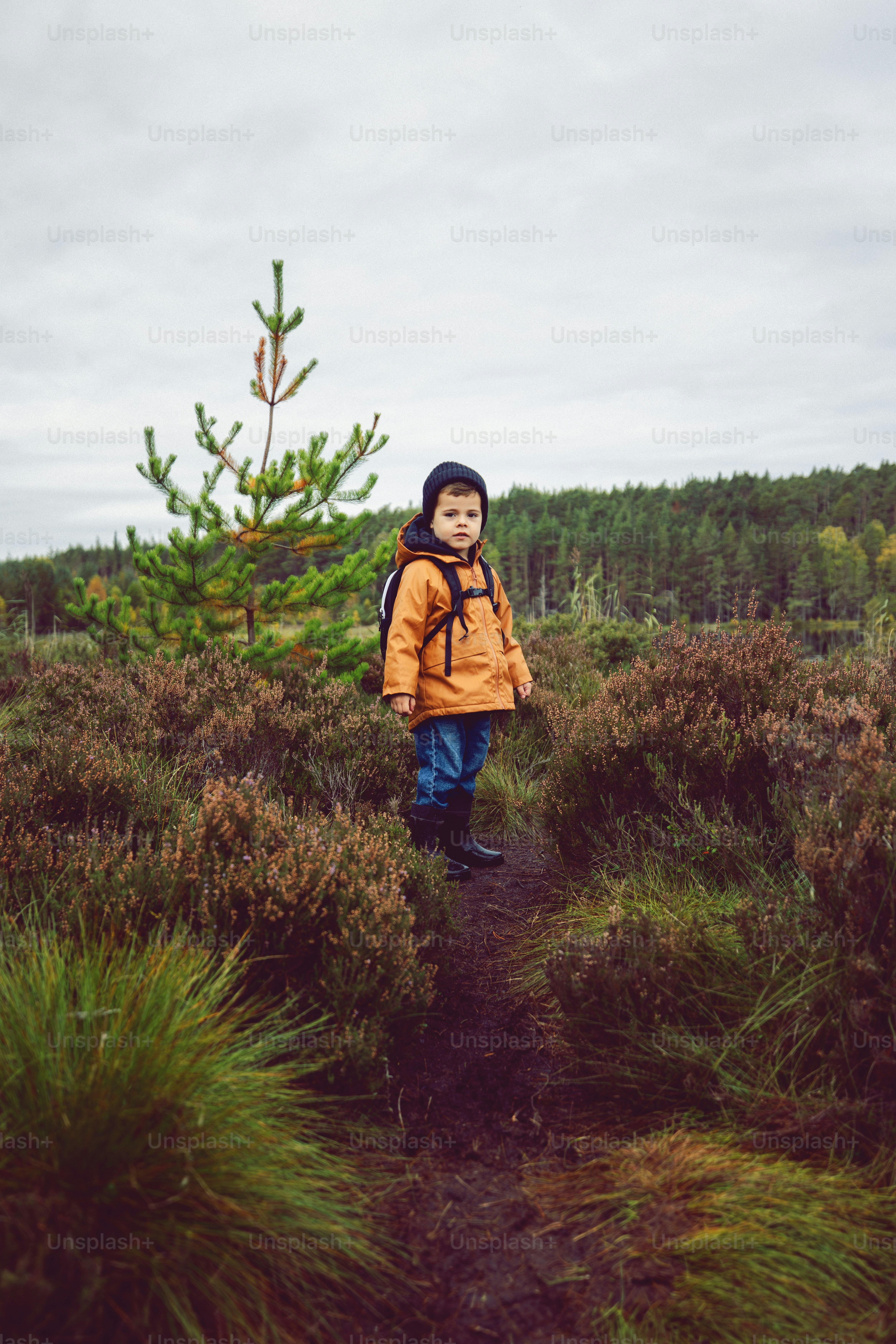 A young boy in a yellow jacket walking through a field photo – Autumn ...