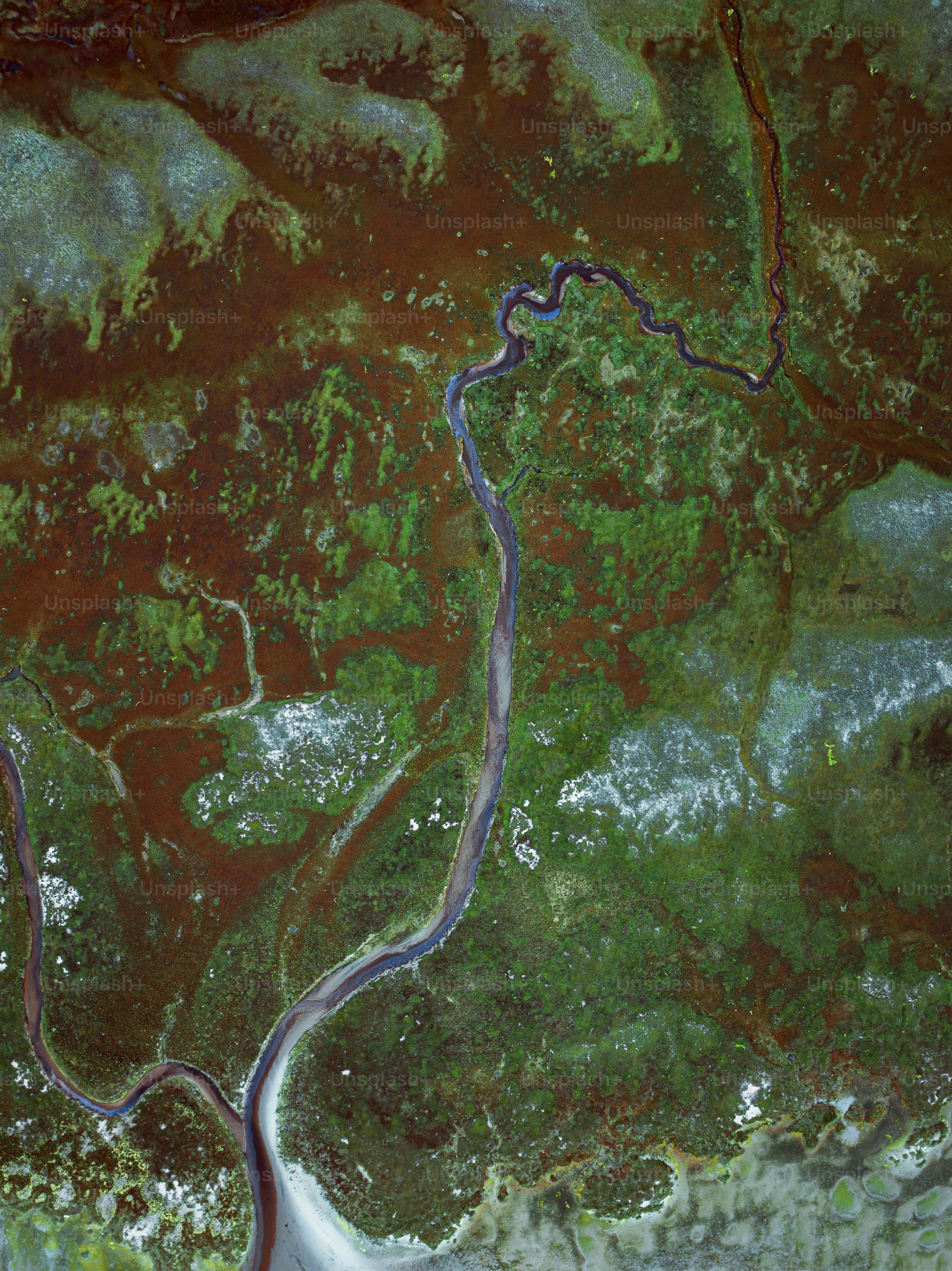 A river running through a lush green forest