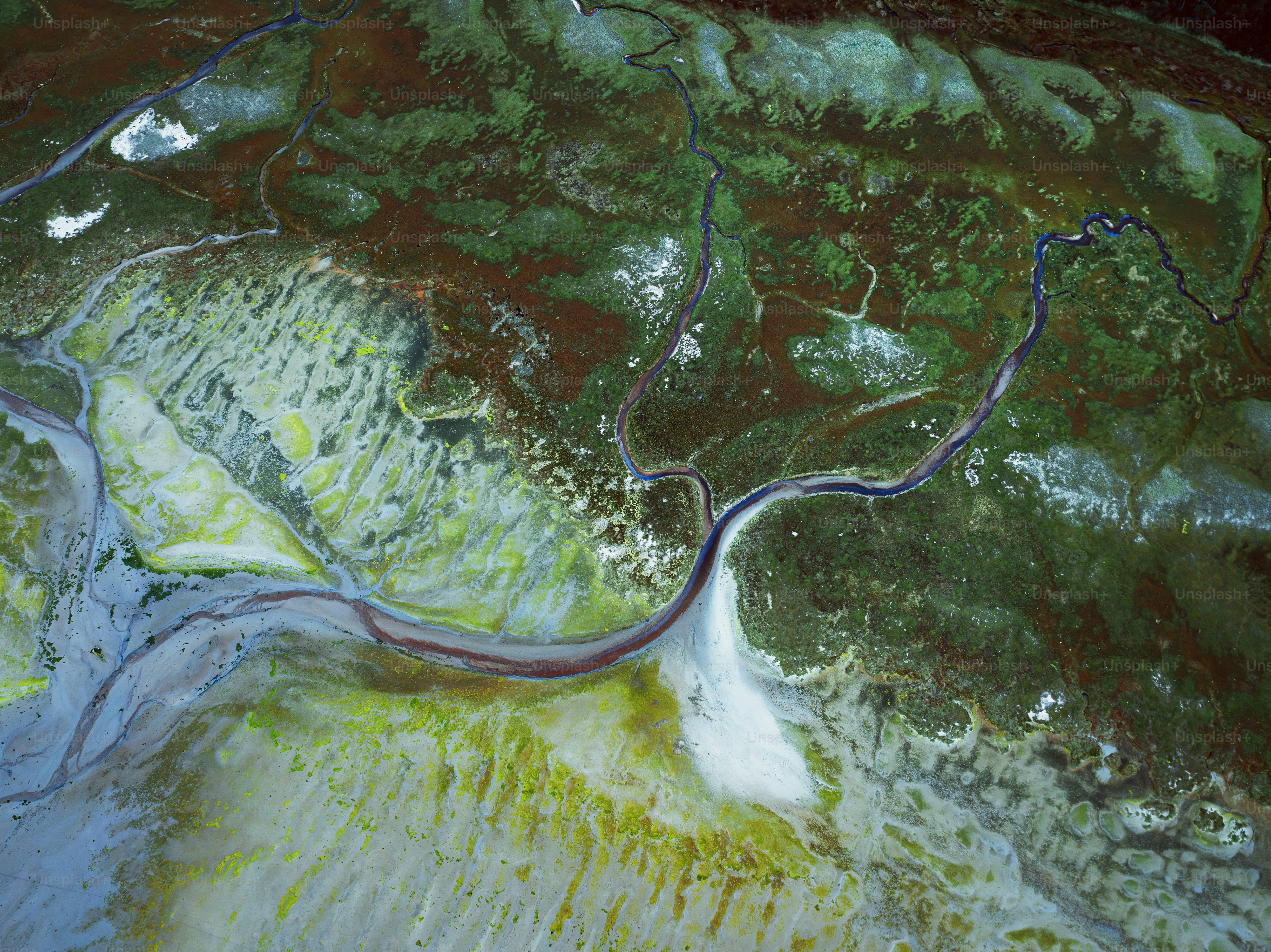 緑豊かな森の中を流れる川