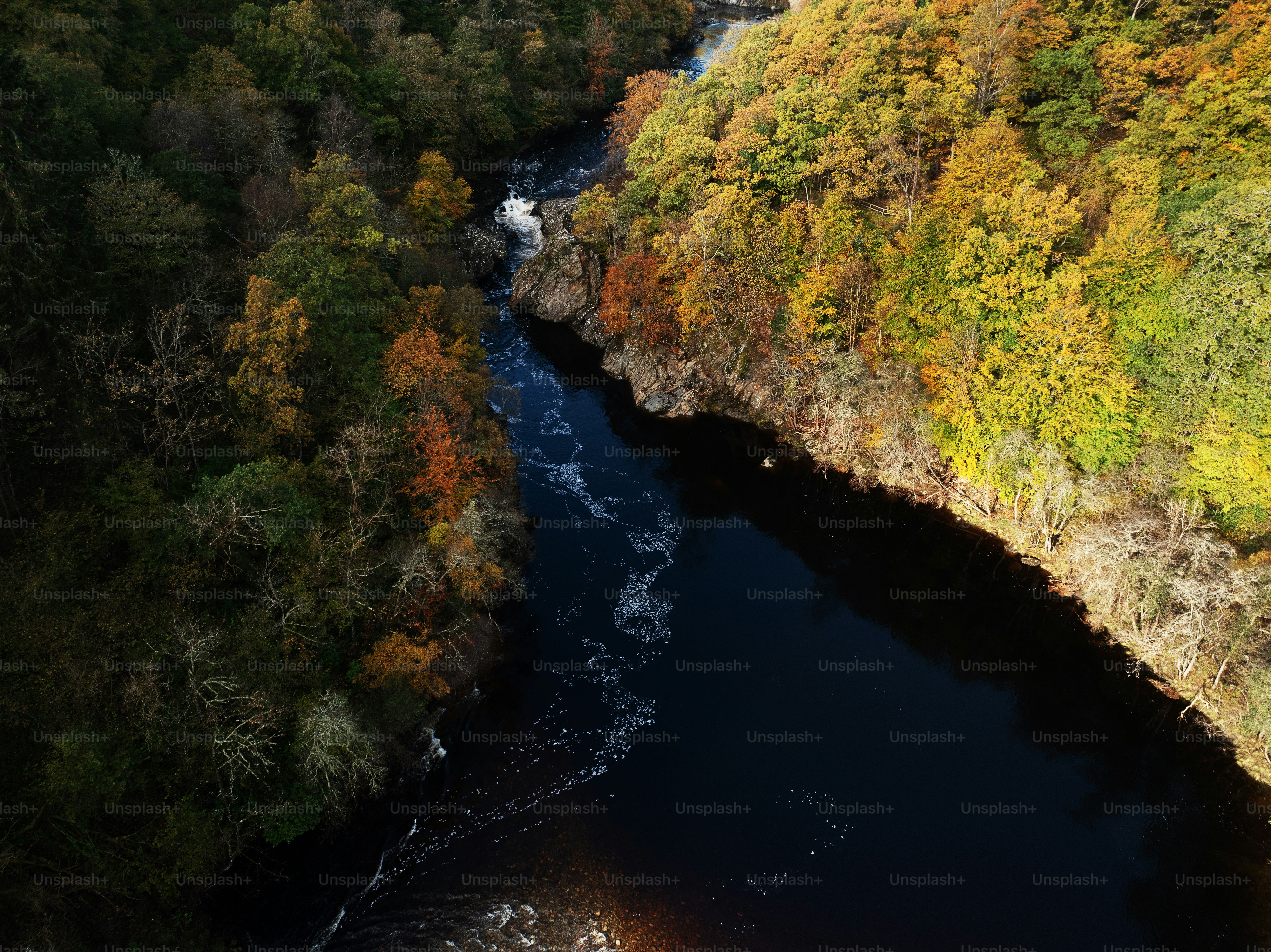 Imágenes de Robles De Río | Descarga imágenes gratuitas en Unsplash