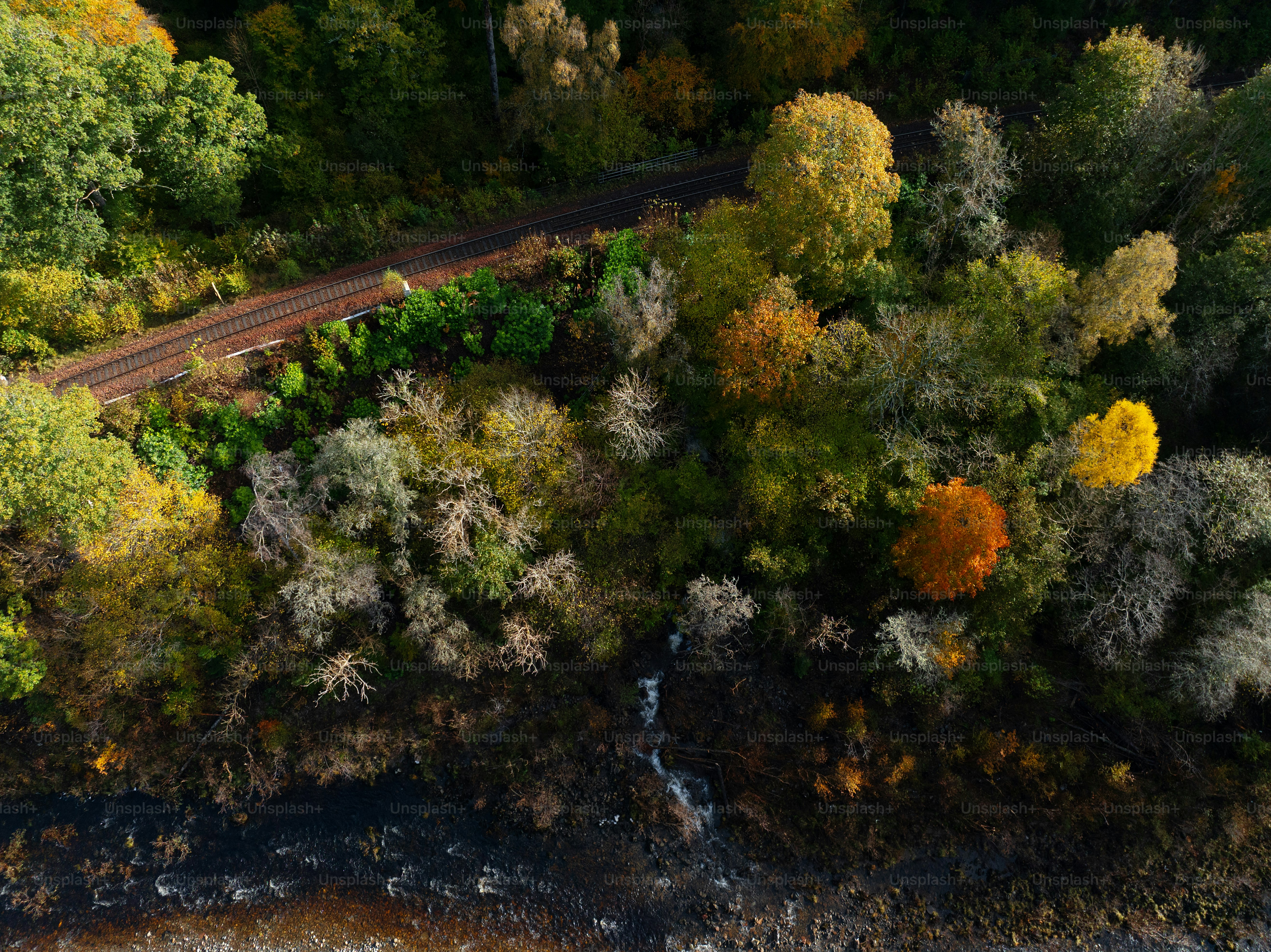 An aerial view of a road surrounded by trees