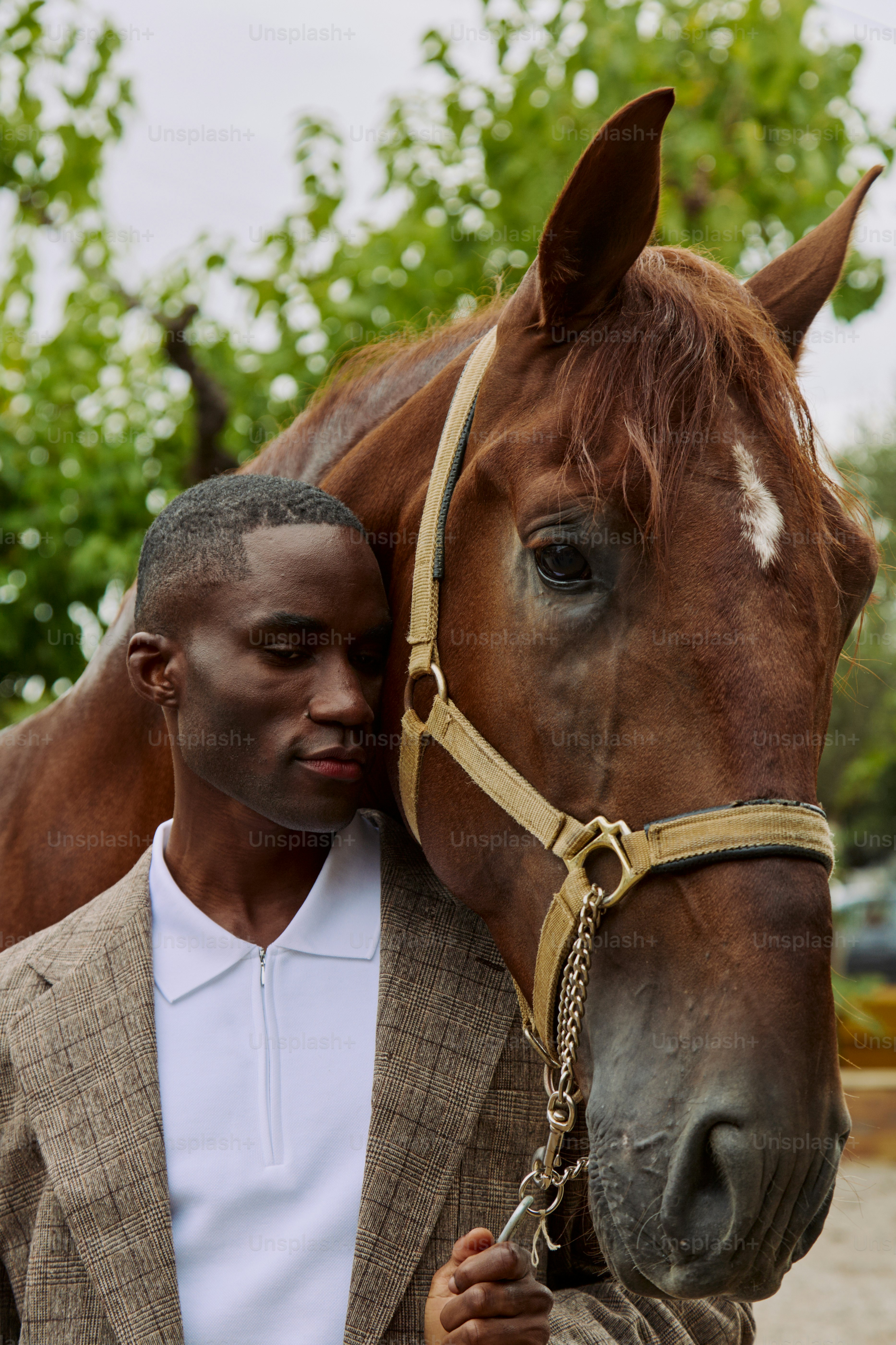 A man standing next to a brown horse