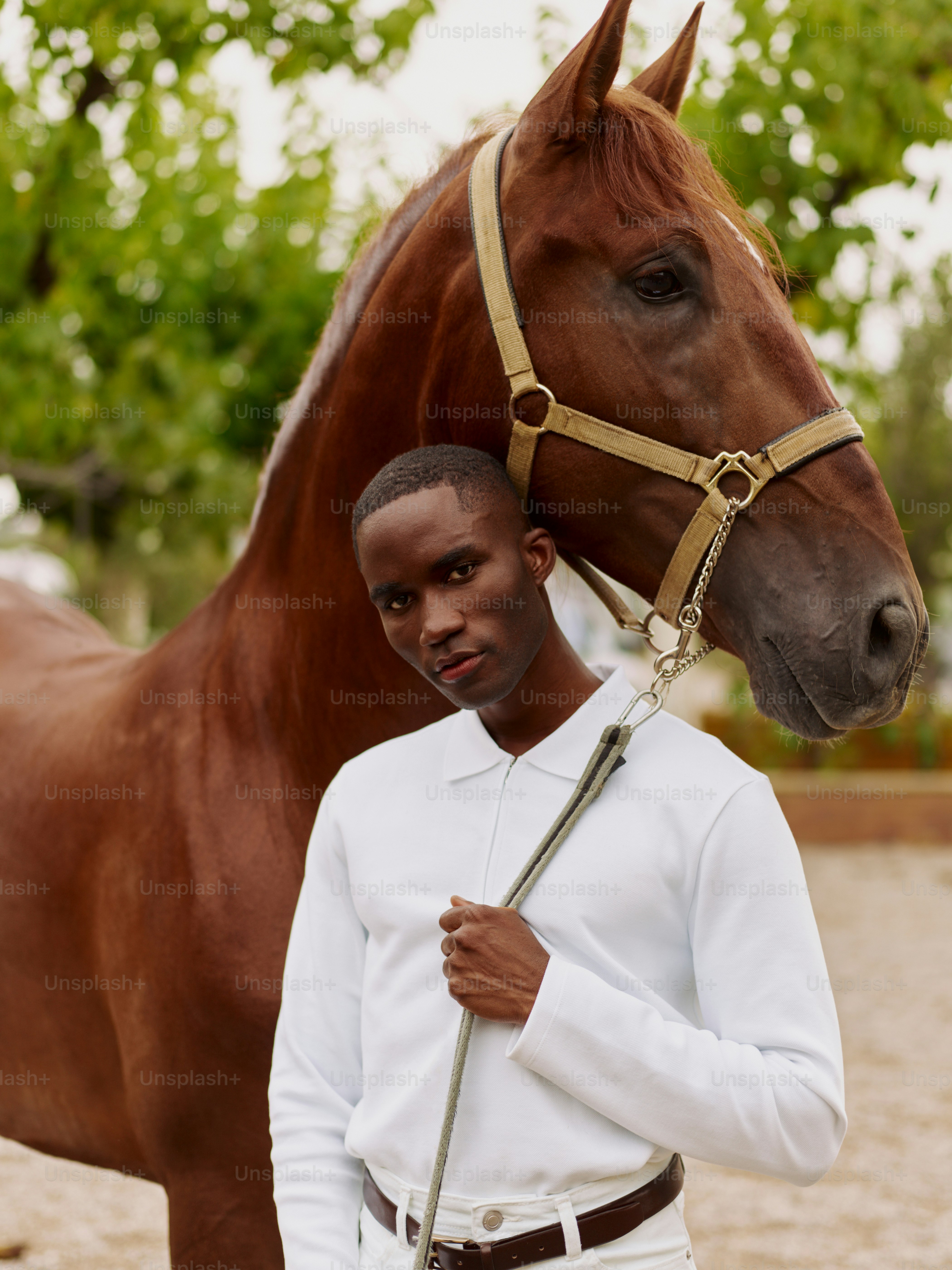 A man standing next to a brown horse