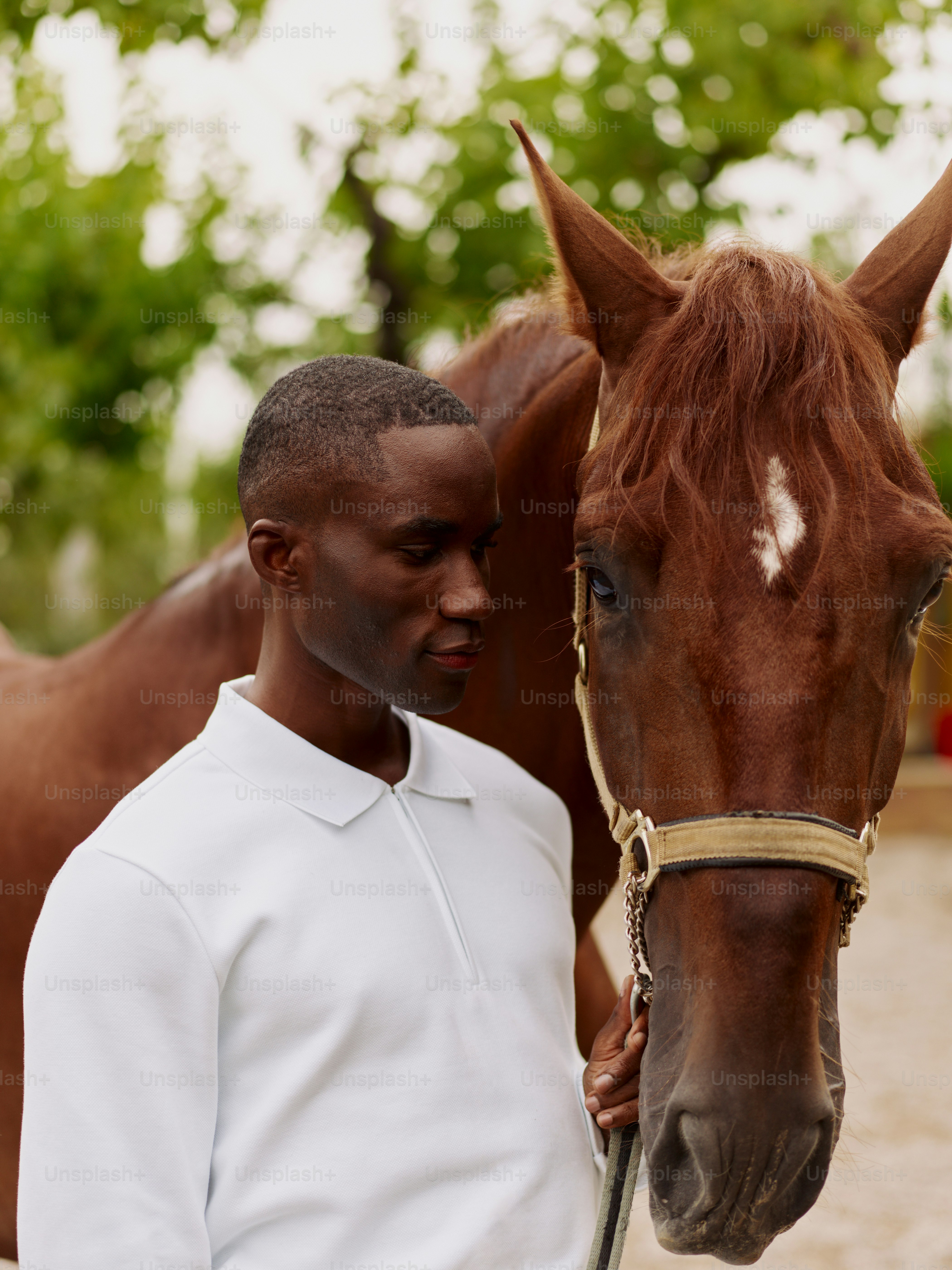 A man standing next to a brown horse