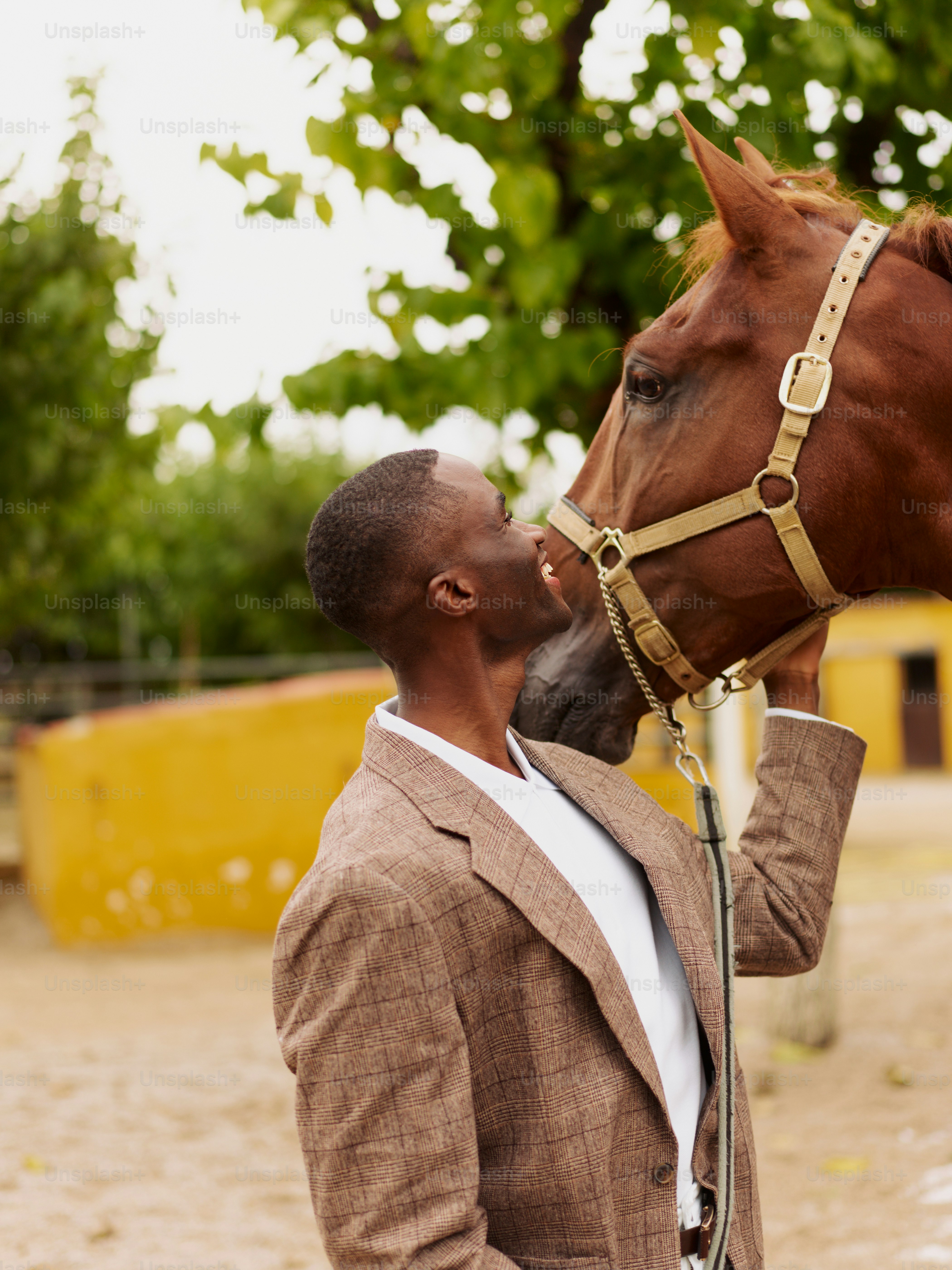 A man standing next to a brown horse