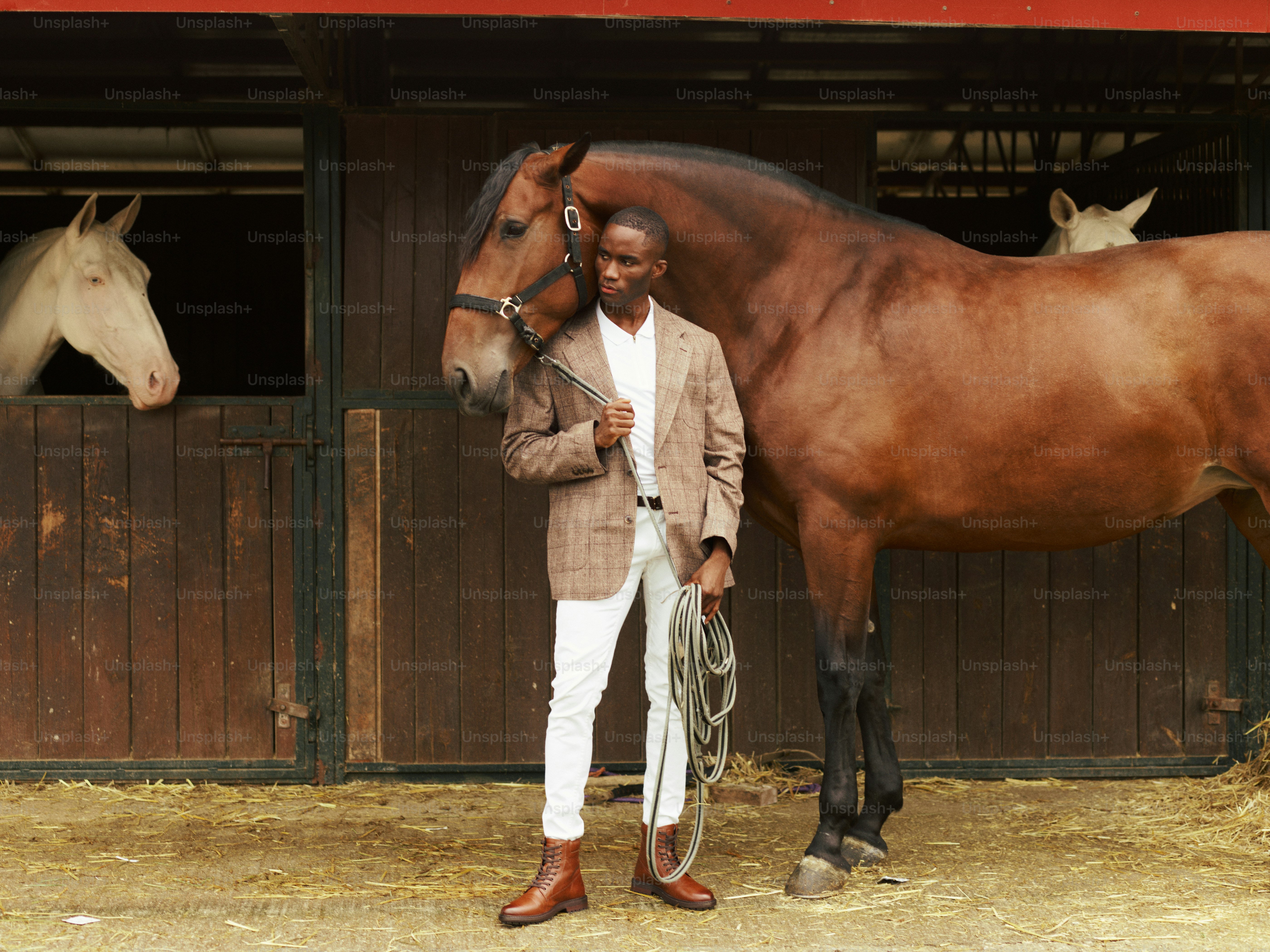 A man standing next to a brown horse