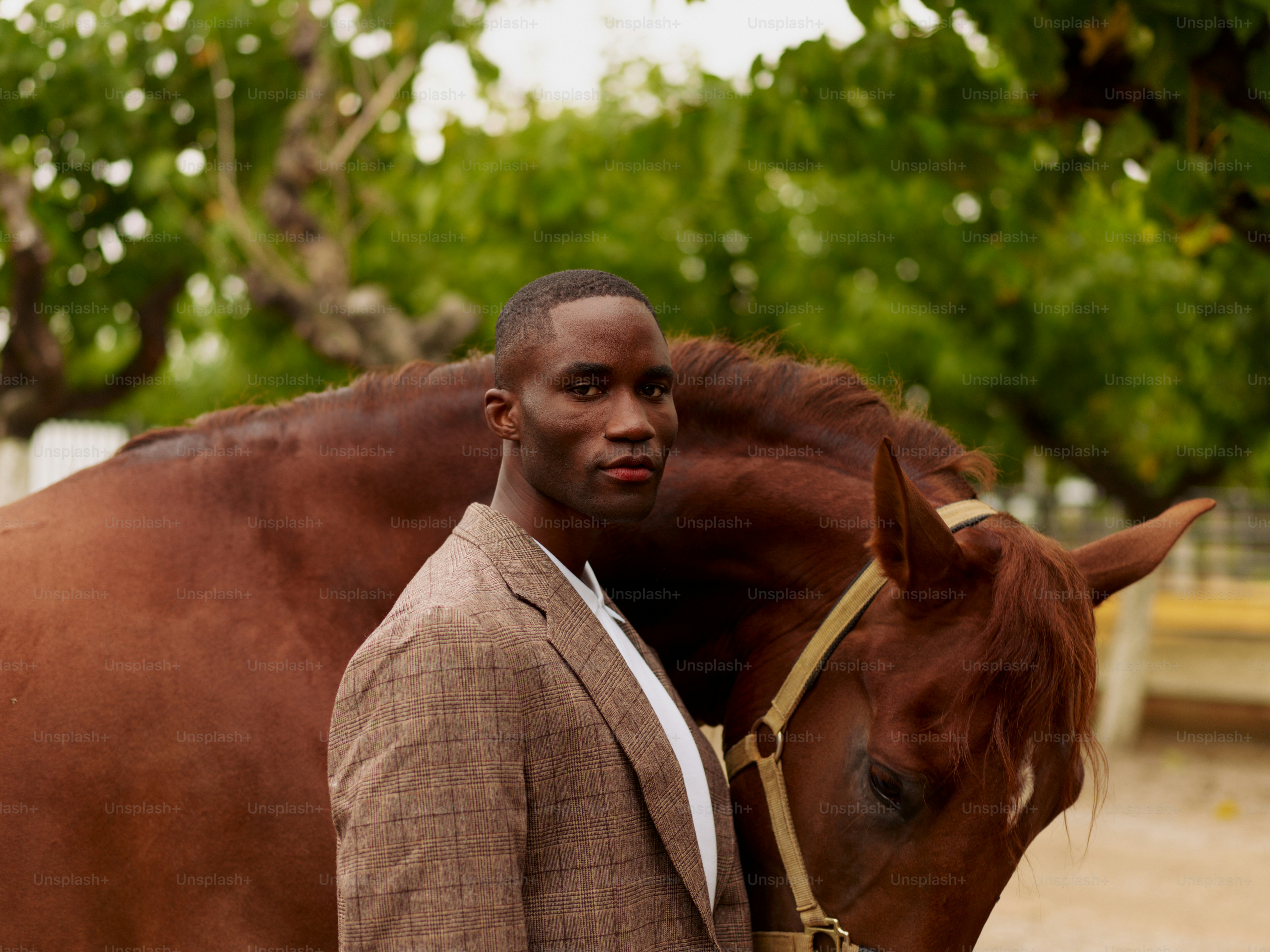 A man standing next to a brown horse