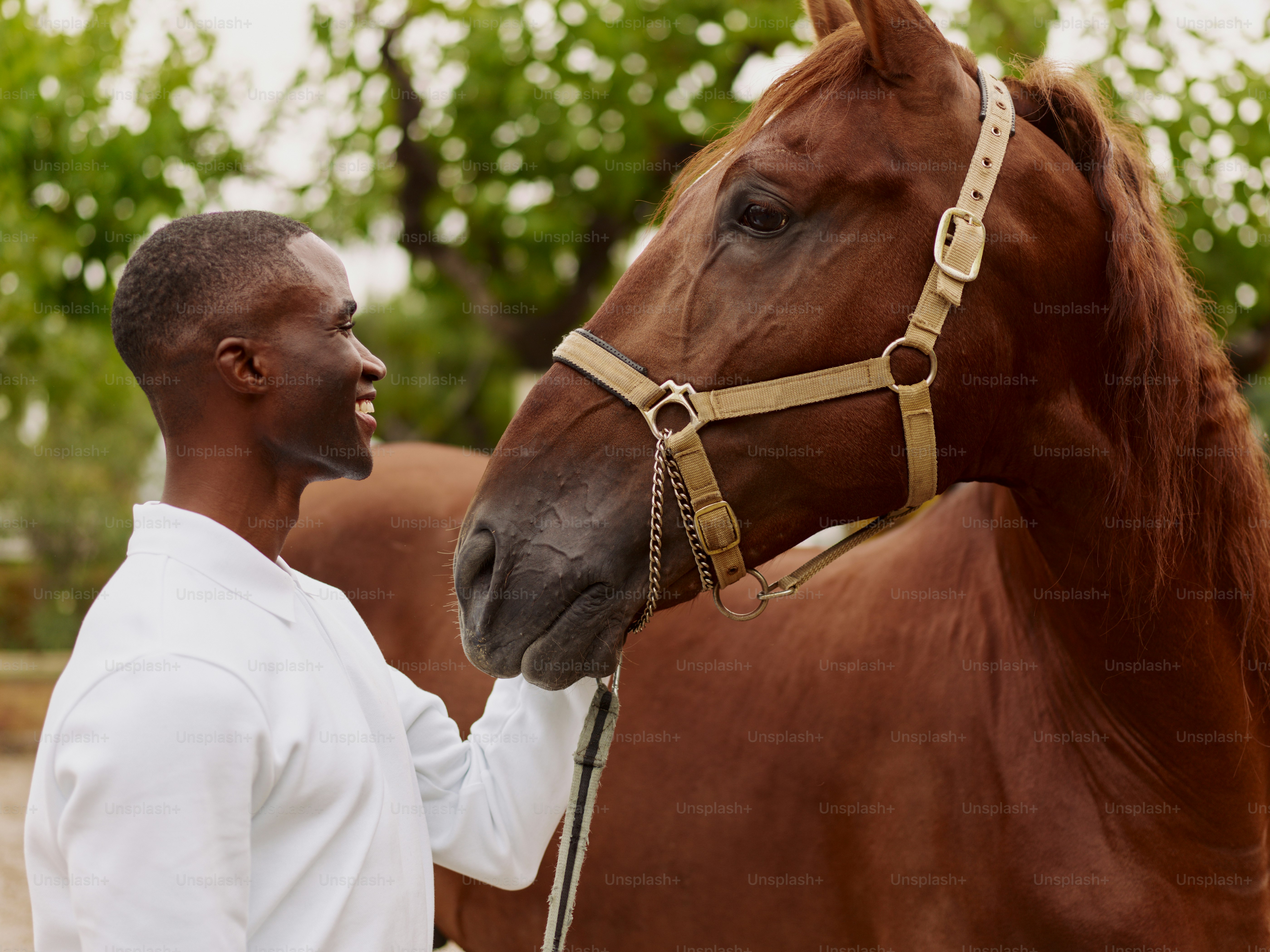A man standing next to a brown horse